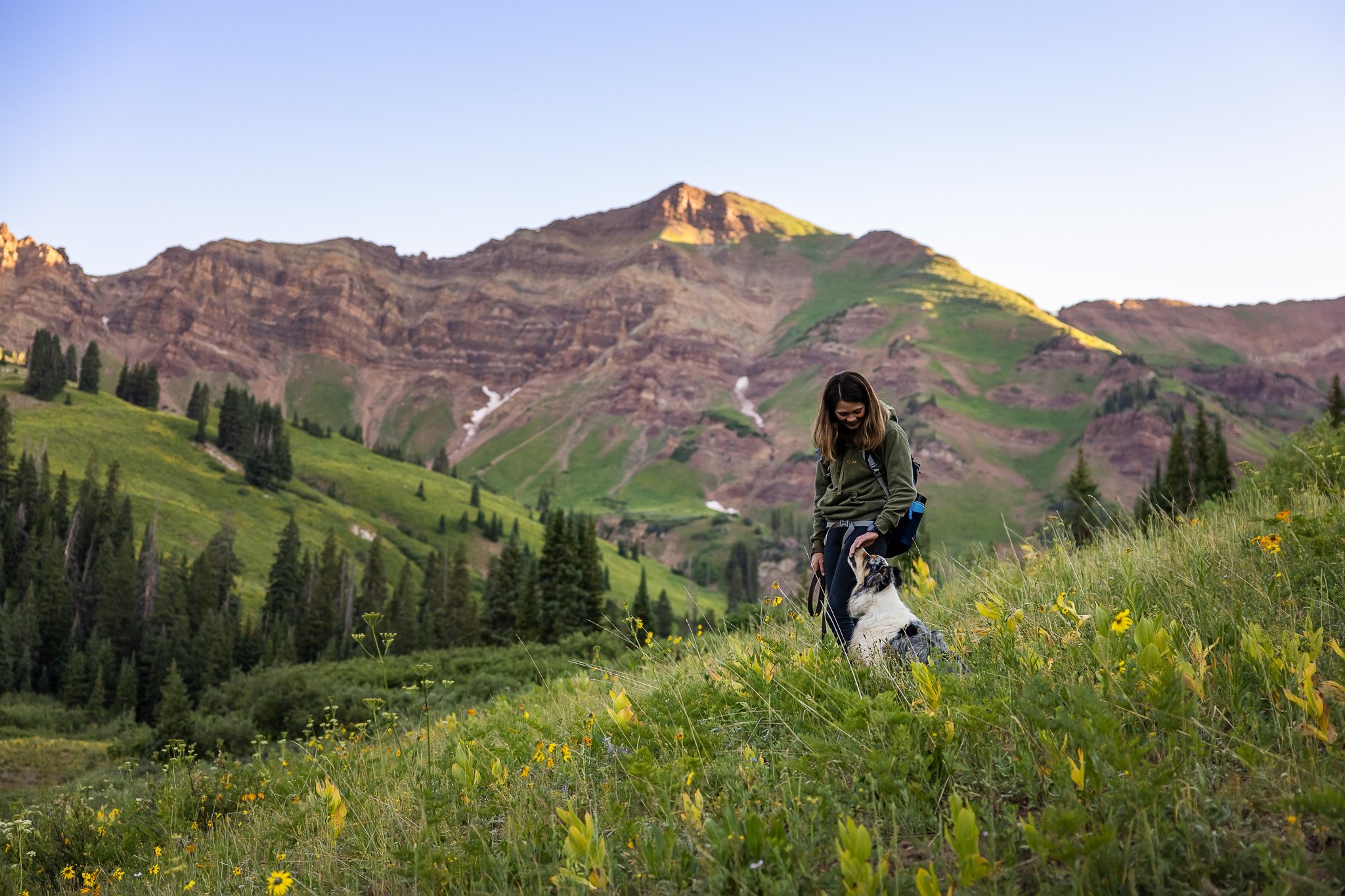Hiking_with_dogs_Crested_Butte_wildflowers_024.jpg