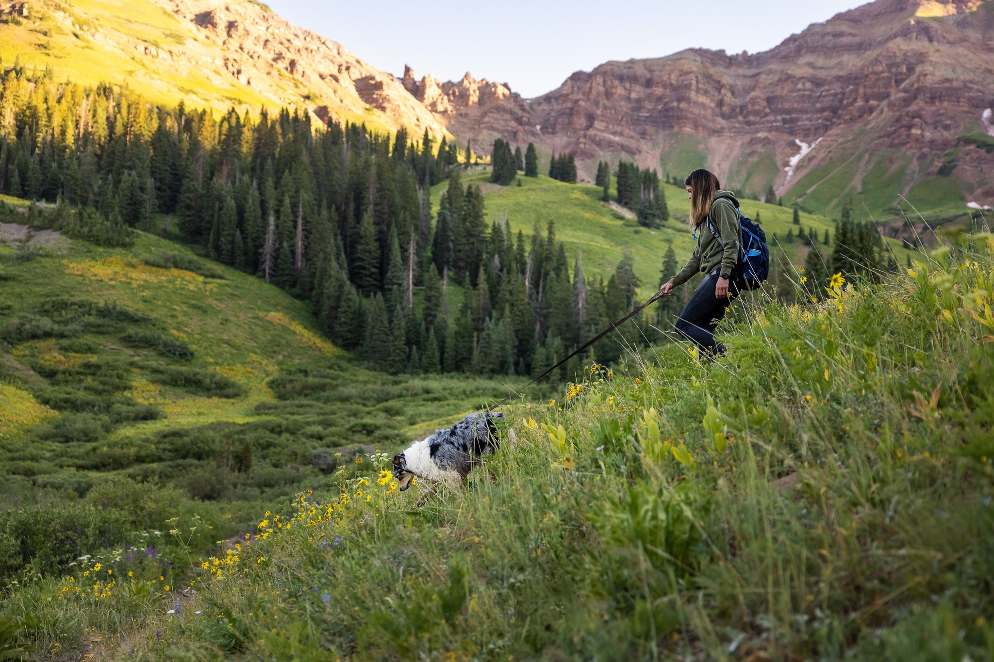 Hiking_with_dogs_Crested_Butte_wildflowers_025.jpg
