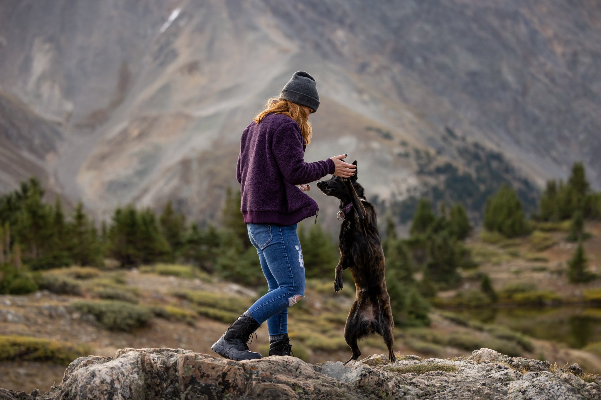 Mountain proposal with dogs_-19.jpg