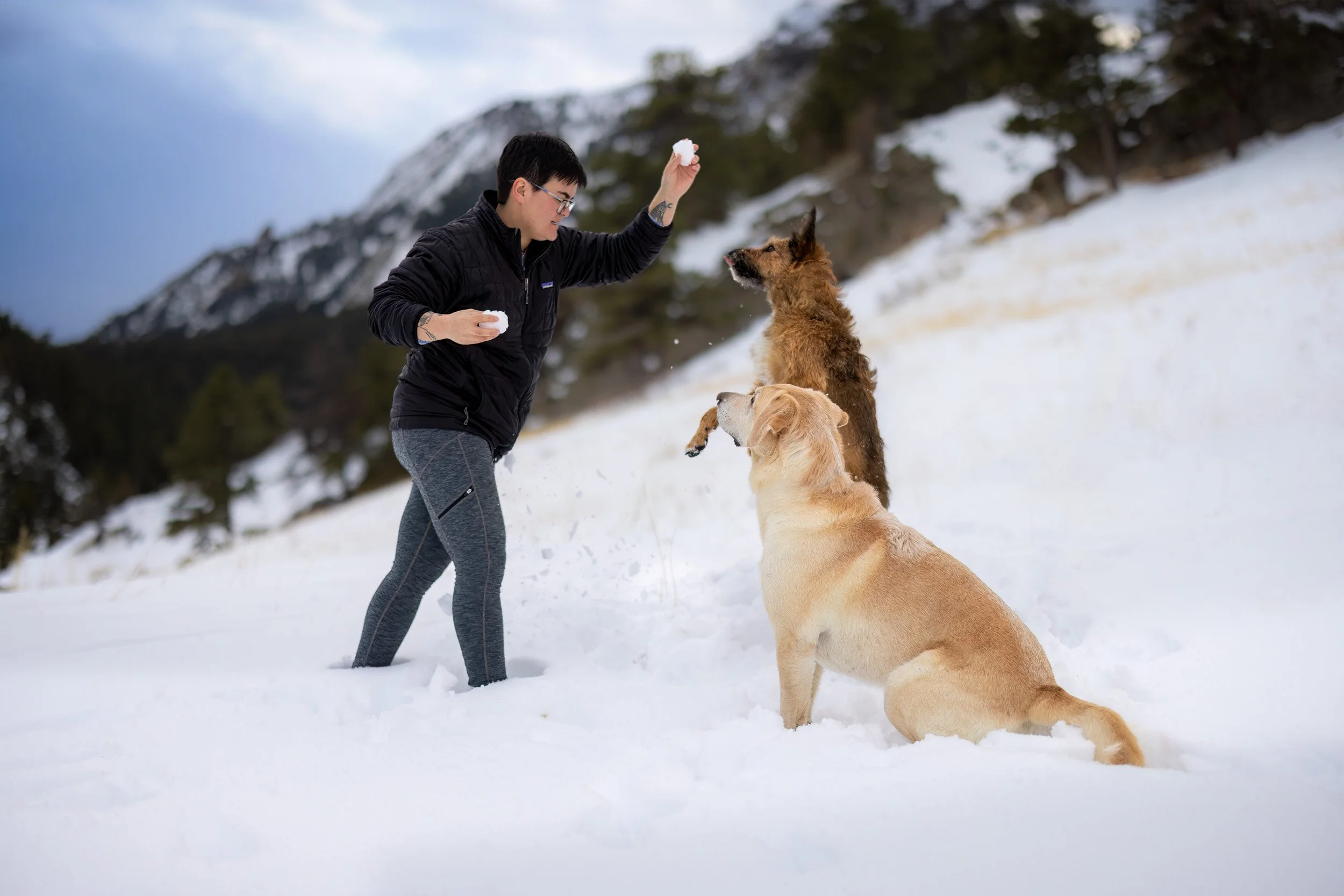 Dogs catch snowballs while hiking high-altitude grassland paths near the NCAR Trailhead in Boulder.