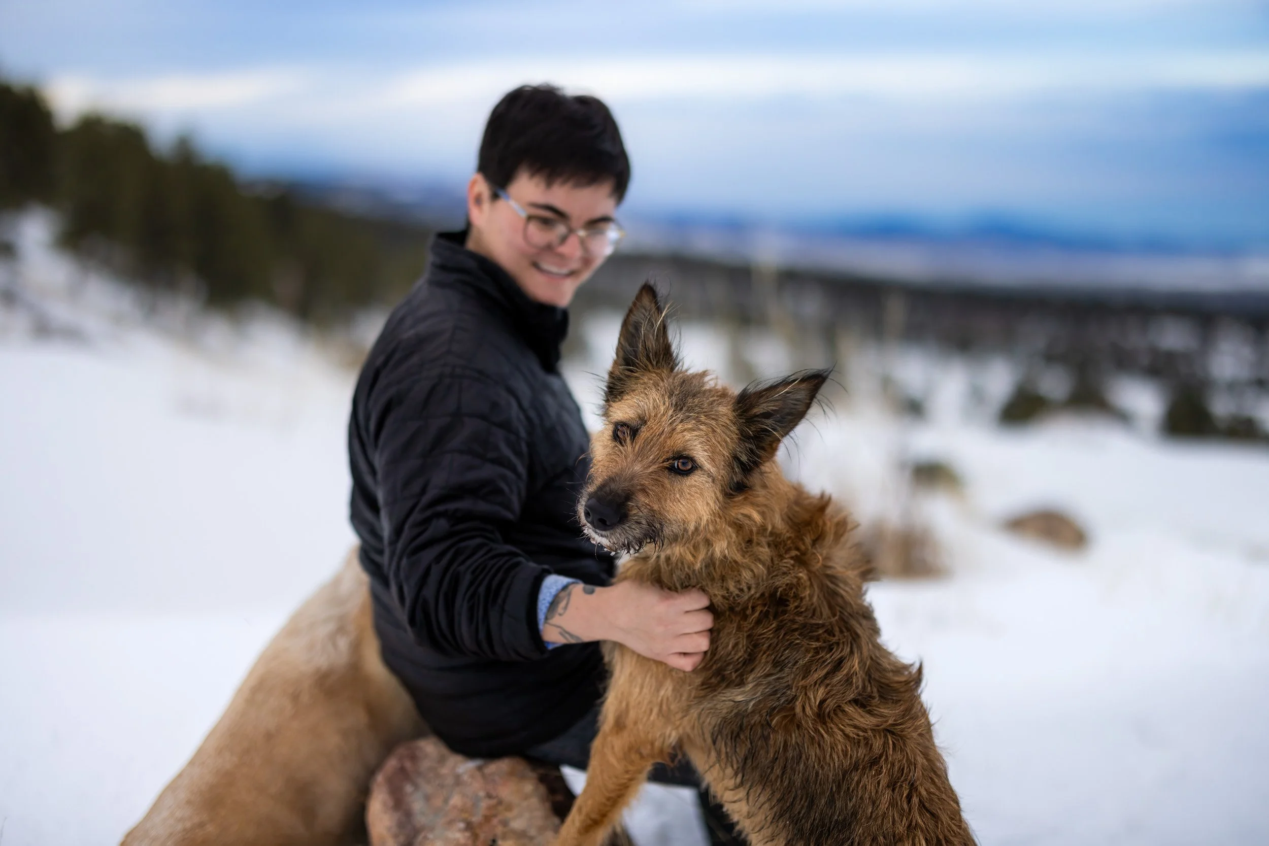 A dog getting pets from her owner while on a hiking dog photoshoot in Boulder, Colorado.