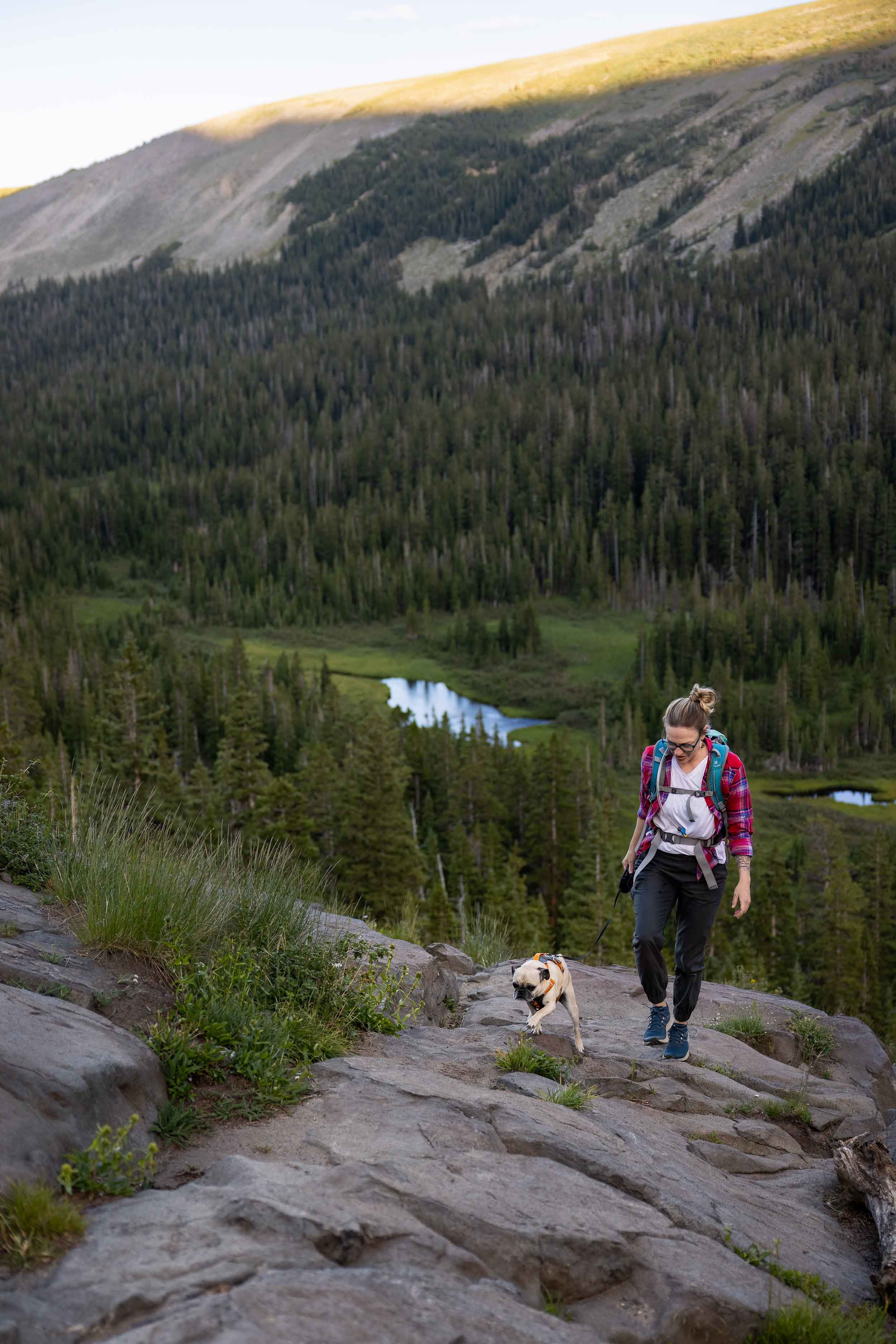 Dog-hike-in-Colorado-Mountains-018.jpg