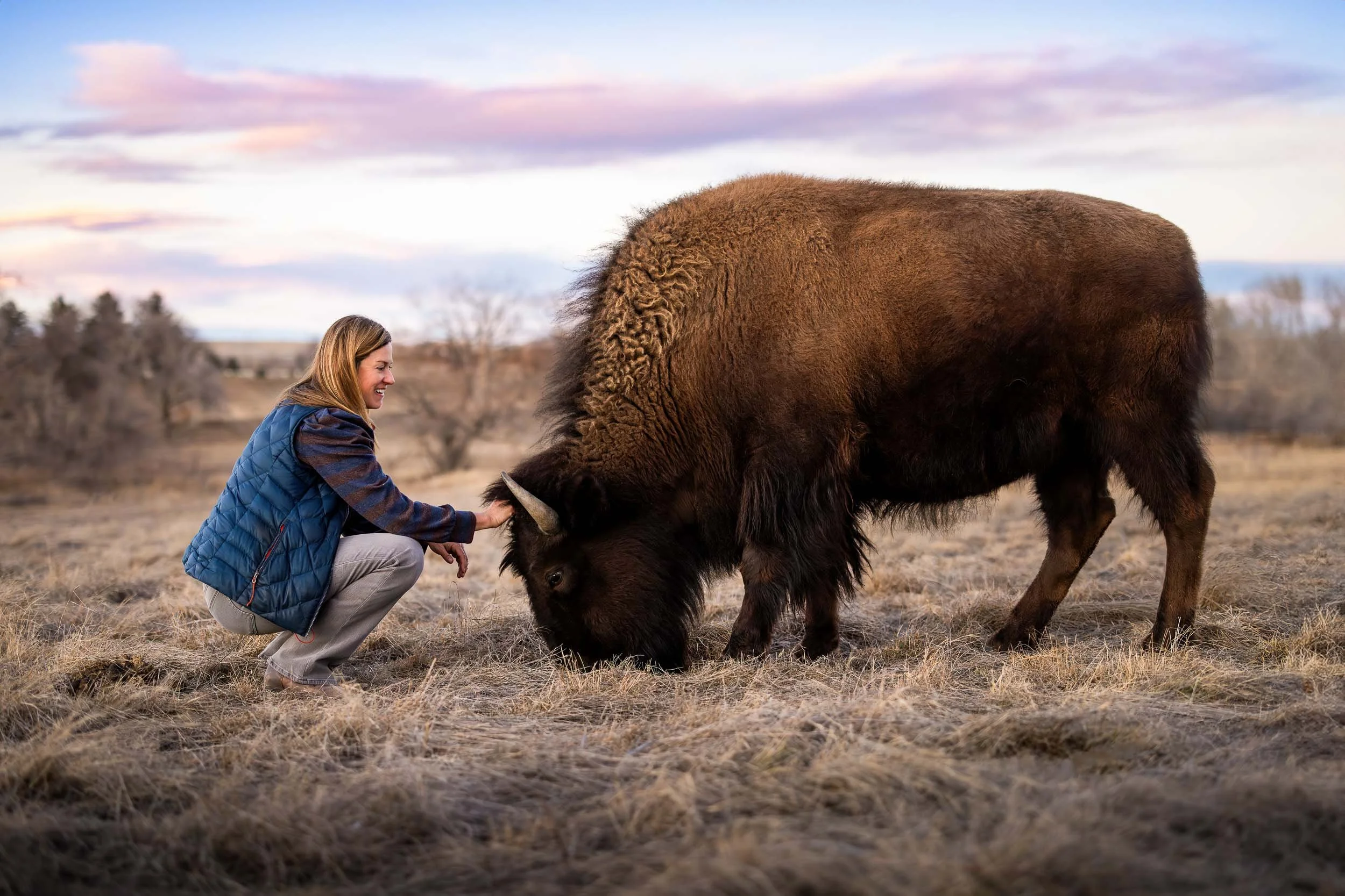 A dramatic, low-angle shot of a bison during a pet photography session with Allison Mae.