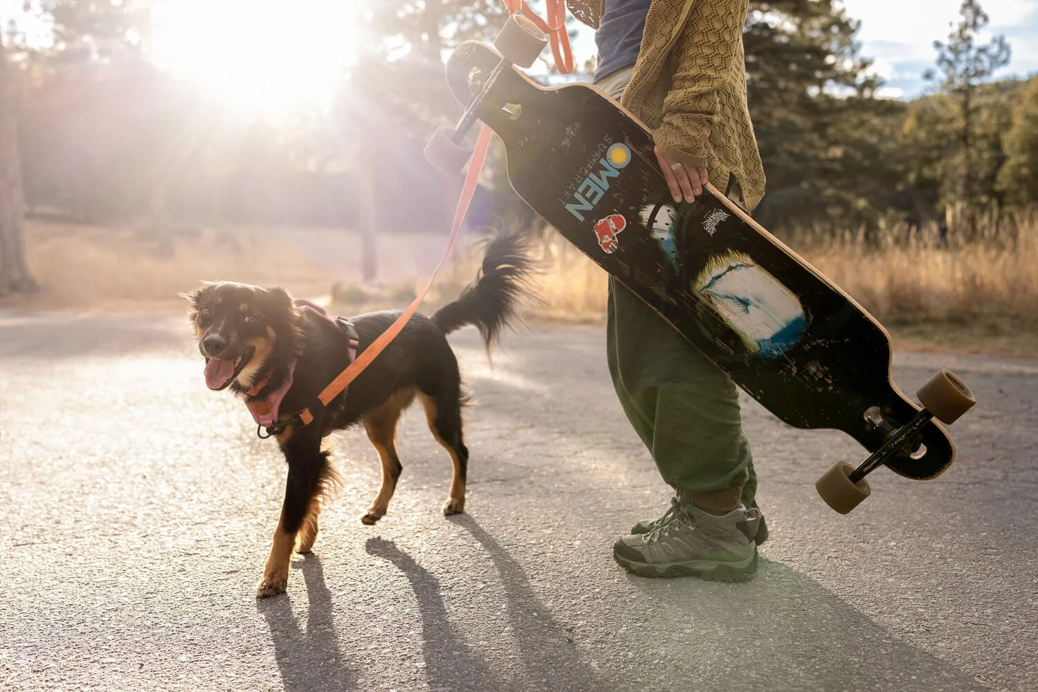 Person holding a skateboard with a dog on a leash in an outdoor setting during sunset.