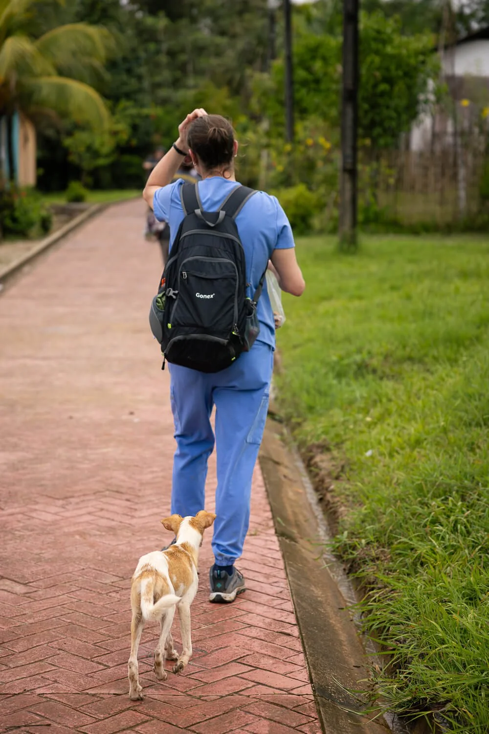 A small dog follows a veterinary technician down a brick path while a team member in a wide-brimmed hat walks behind them in an Amazon village.