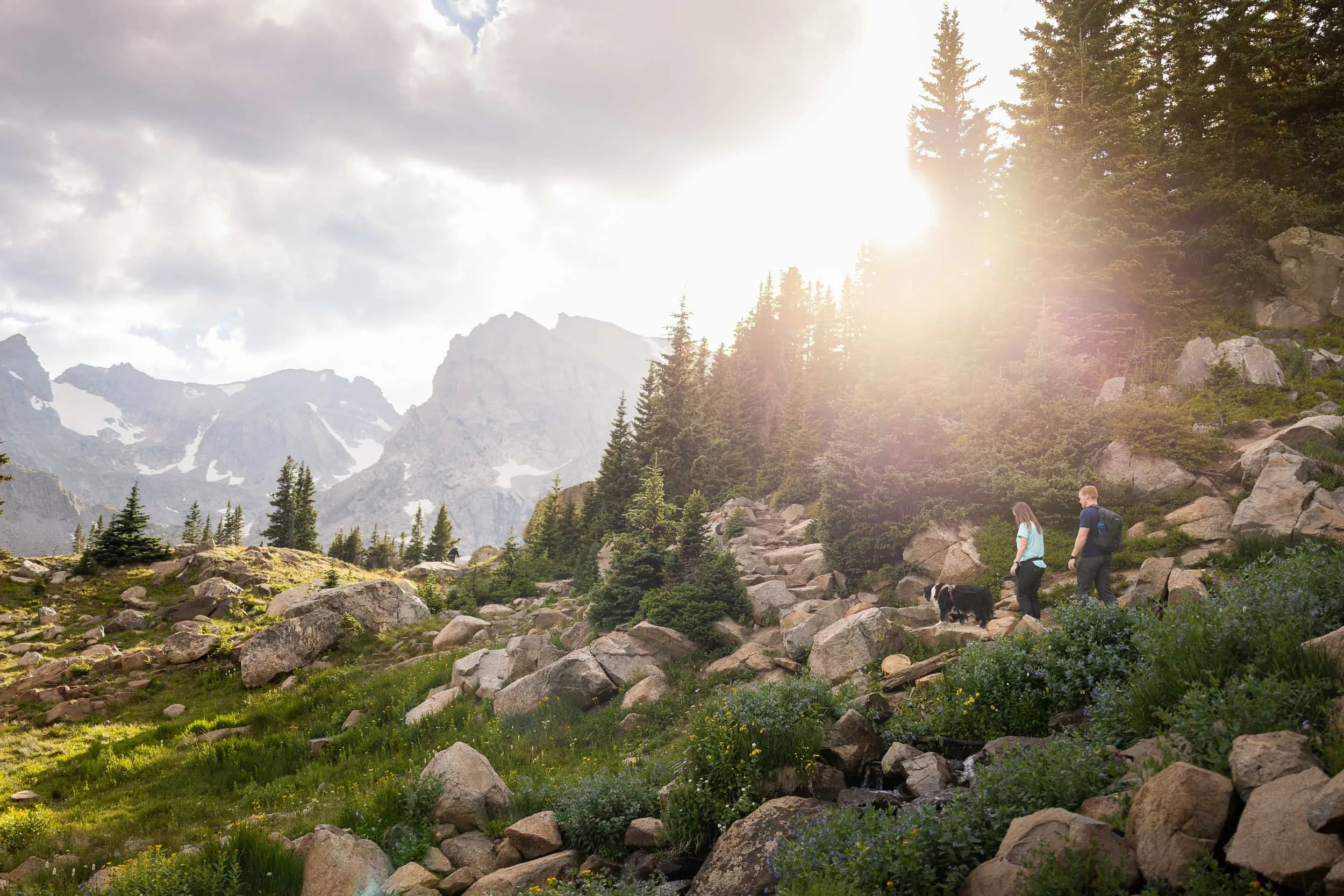 Hiking dog photography in Denver showing a pup and its owners exploring a mountain trail during an adventure session.
