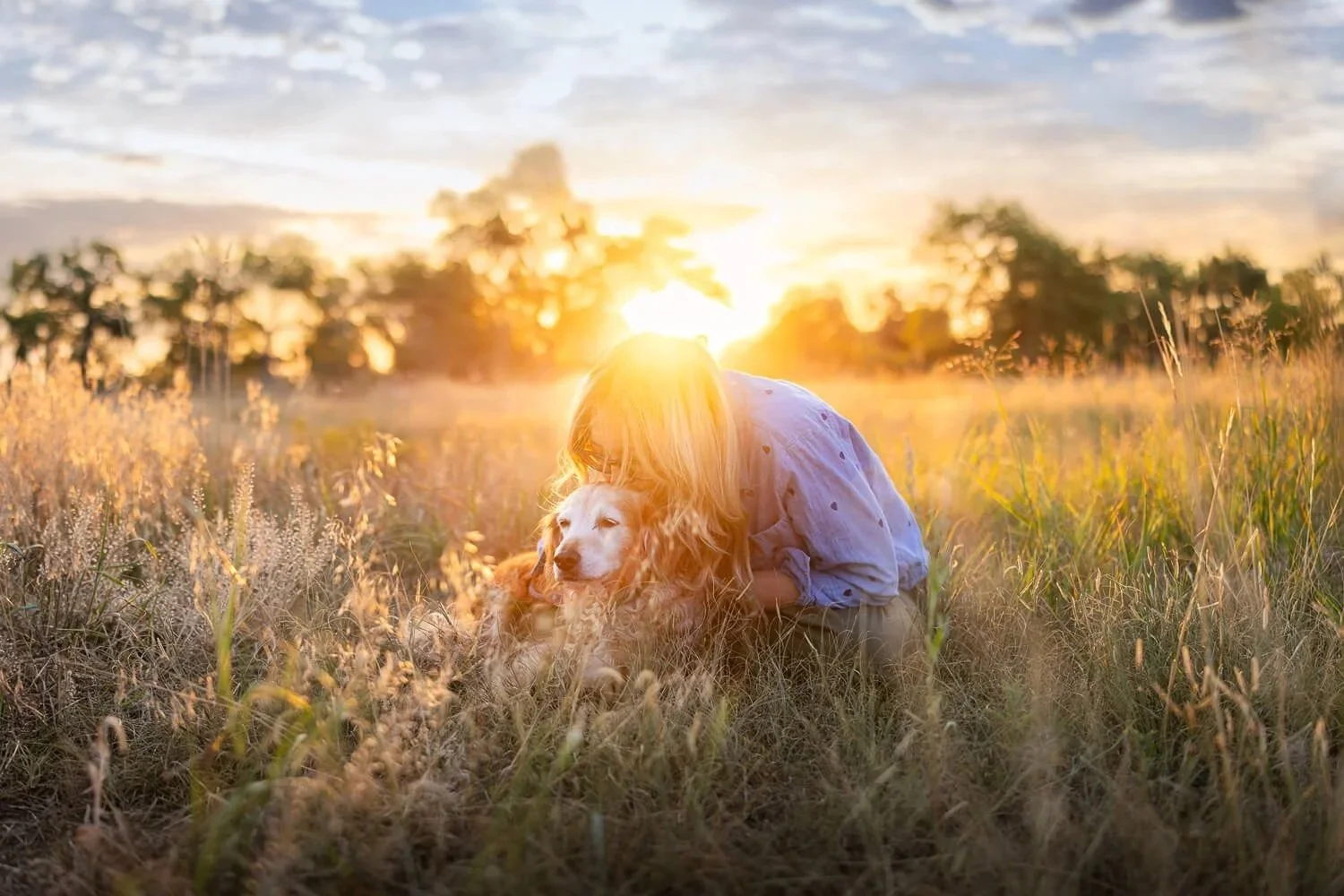 A woman hugging a puppy in a field at sunset with tall grass and trees in the background.