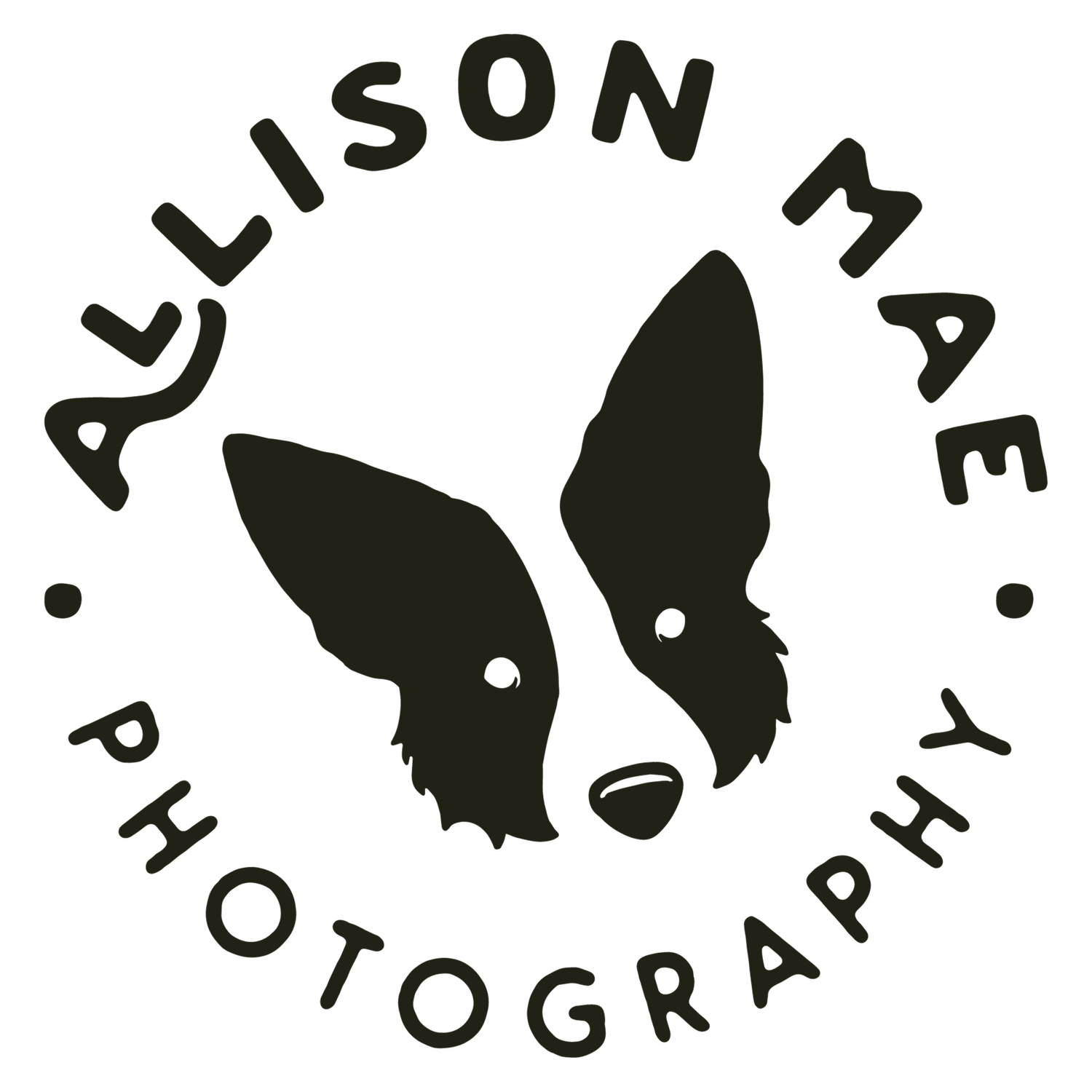 Allison Mae Photography: Denver Pet Photographer