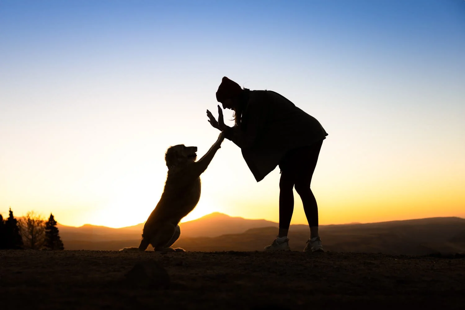 A cinematic silhouette of a person and their dog doing a "high-five" against a vibrant orange and gold sunset sky during a Colorado adventure photography session.