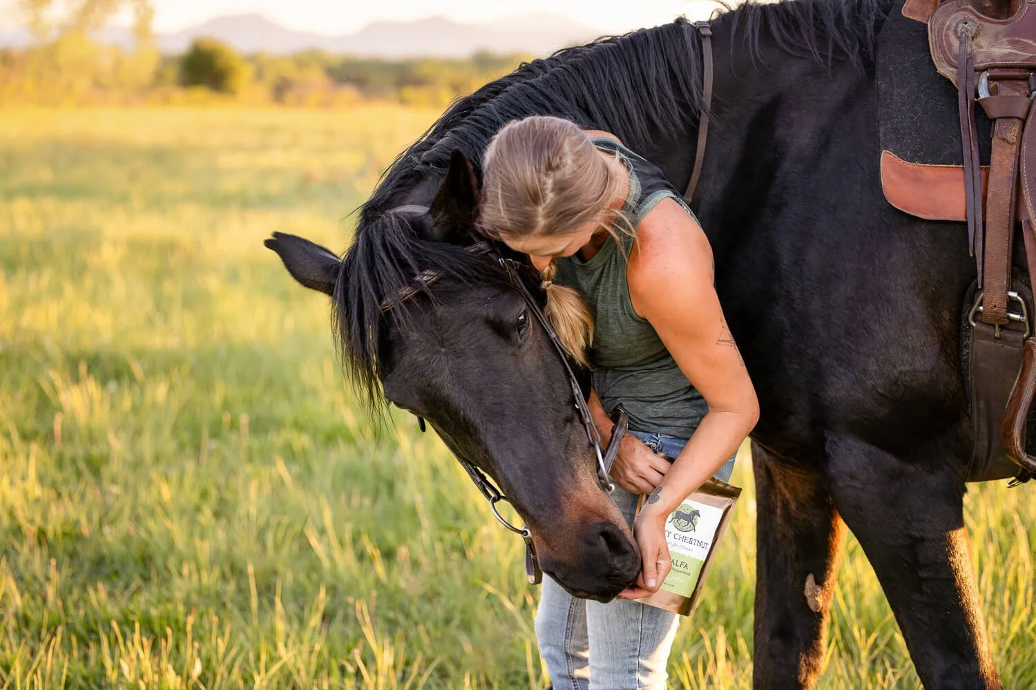 An intimate lifestyle branding shot of a horse and rider in soft sunlight, showcasing equine product placement and soulful brand storytelling.