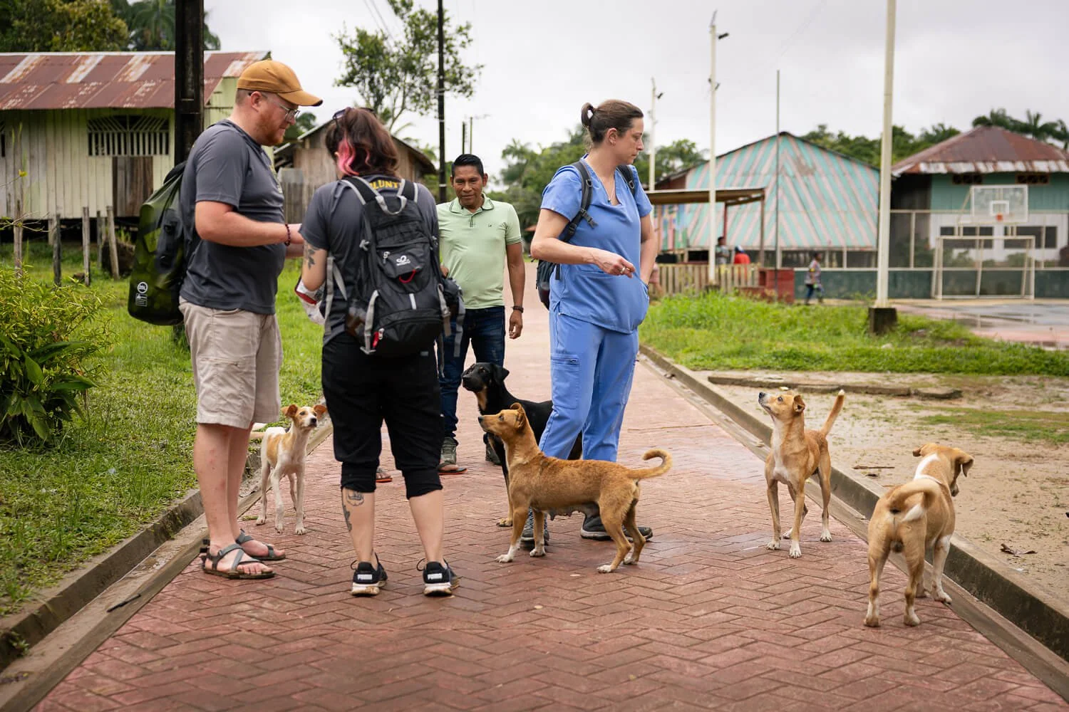 Several village dogs gather around members of the veterinary team as they pause on a brick path in an Amazon village.