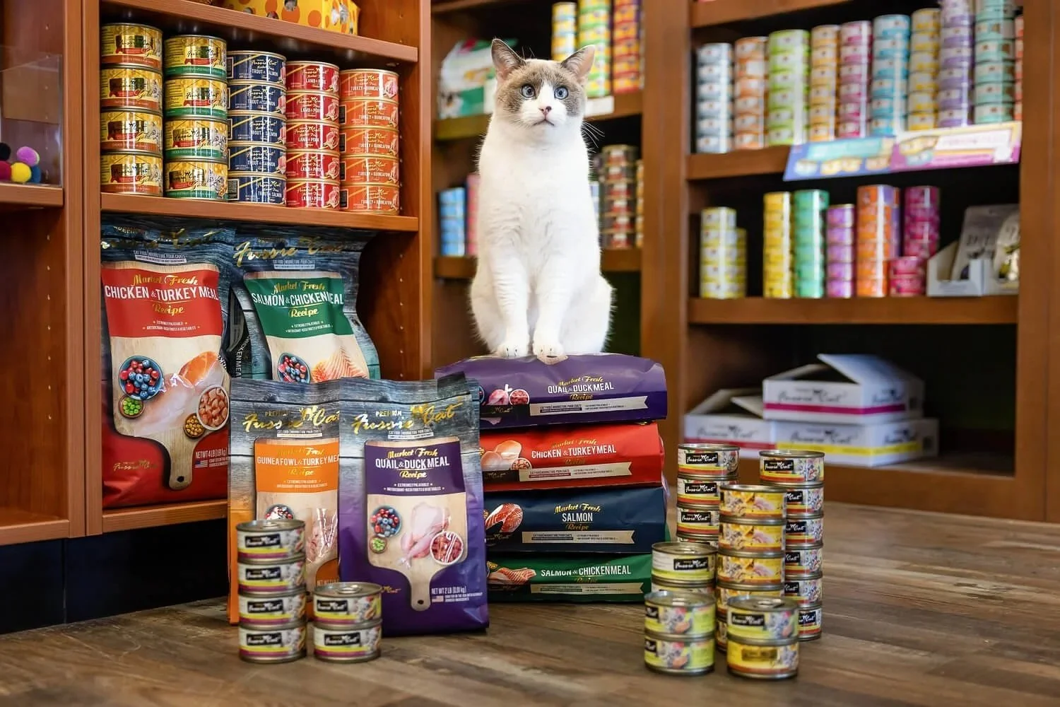 A white and gray cat with blue eyes standing on stacks of pet food and canned cat food in a store, with shelves of canned and bagged pet food behind it.