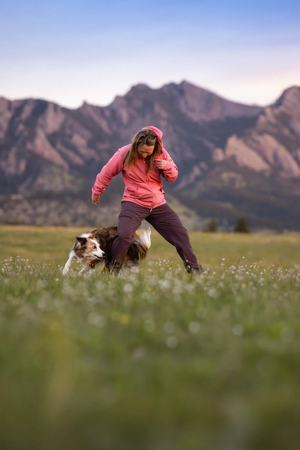 Dog showing off its trick of weaving between owner's legs during a pet photo shoot in Boulder, Colorado.