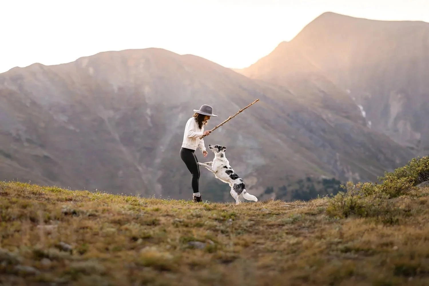 A woman is playing with her black and white dog in an open grassy field with mountains in the background during sunset.