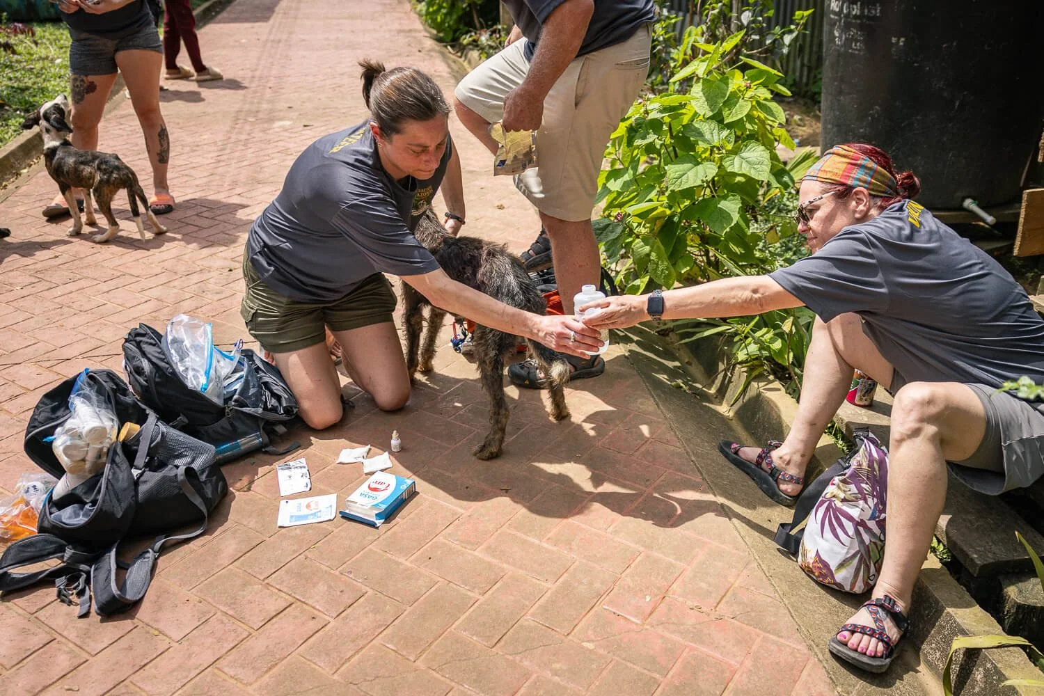 Members of the veterinary team kneel on a brick path in Macedonia, Colombia, gently holding and treating Blade, a scruffy dark-coated dog, with medical supplies spread out beside them.