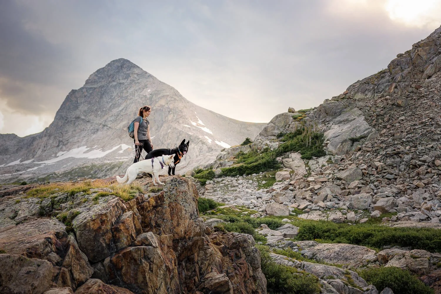 A woman and her two dogs standing on a jagged rocky cliff overlooking the massive, snow-dusted peaks of the Colorado Rockies during an epic adventure photography session.
