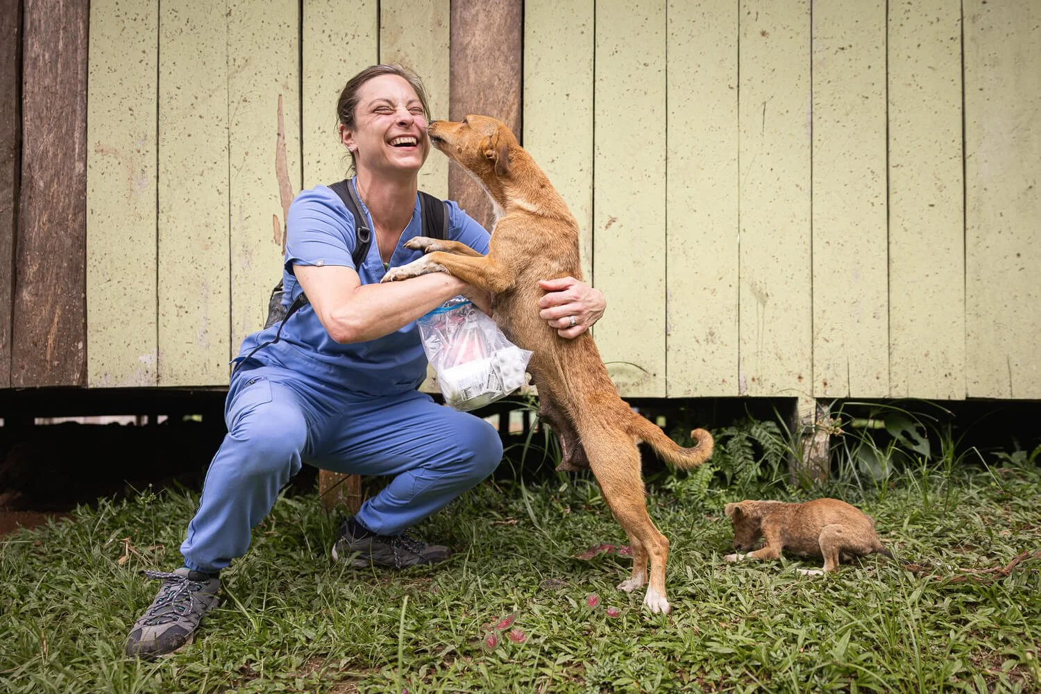 A veterinary technician in blue scrubs laughs as a young tan dog jumps up to lick her face, with a puppy resting in the grass nearby.