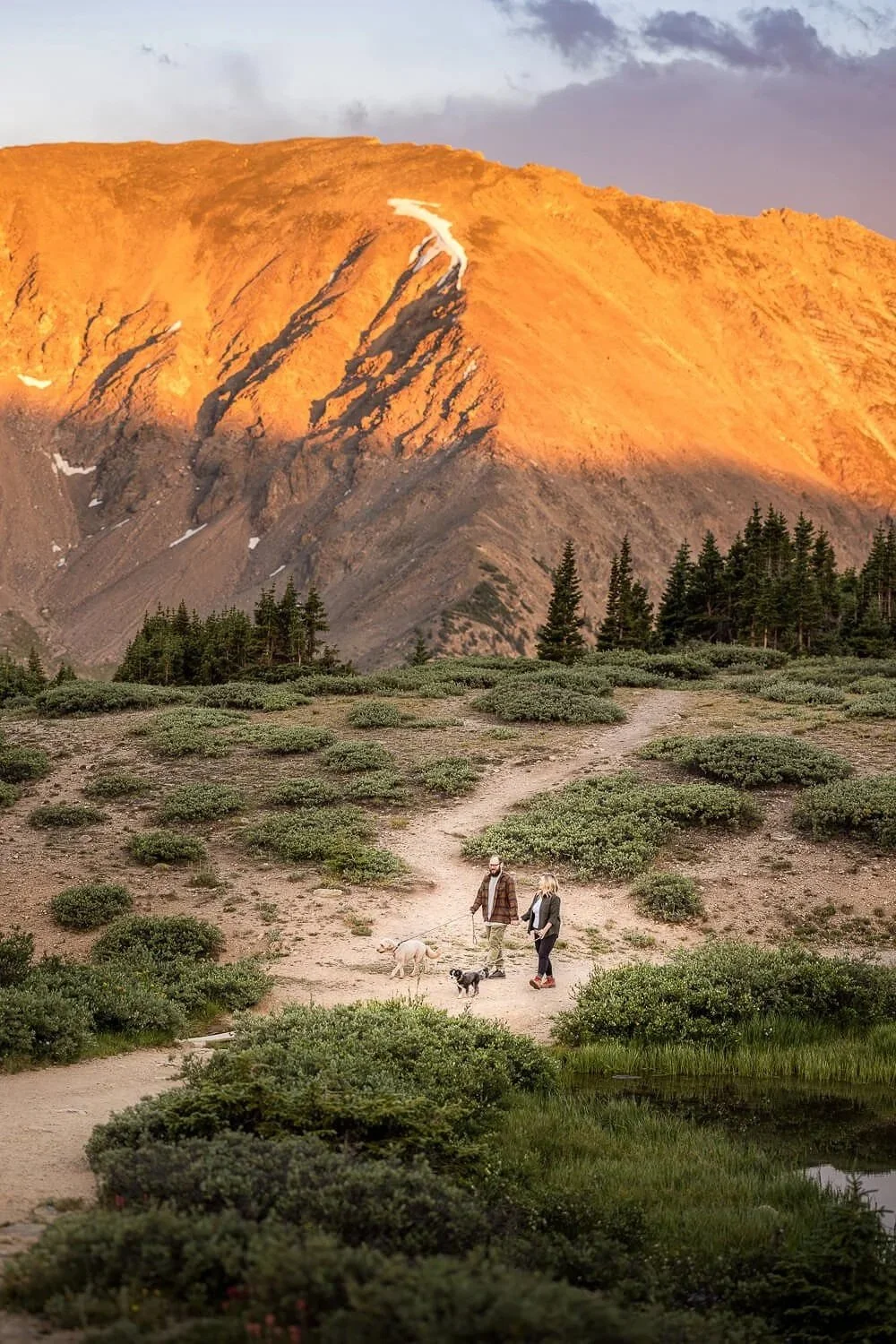 Two people walk their dogs on a dirt trail in a mountainous area with trees and shrubs, with a large mountain illuminated by sunset in the background.