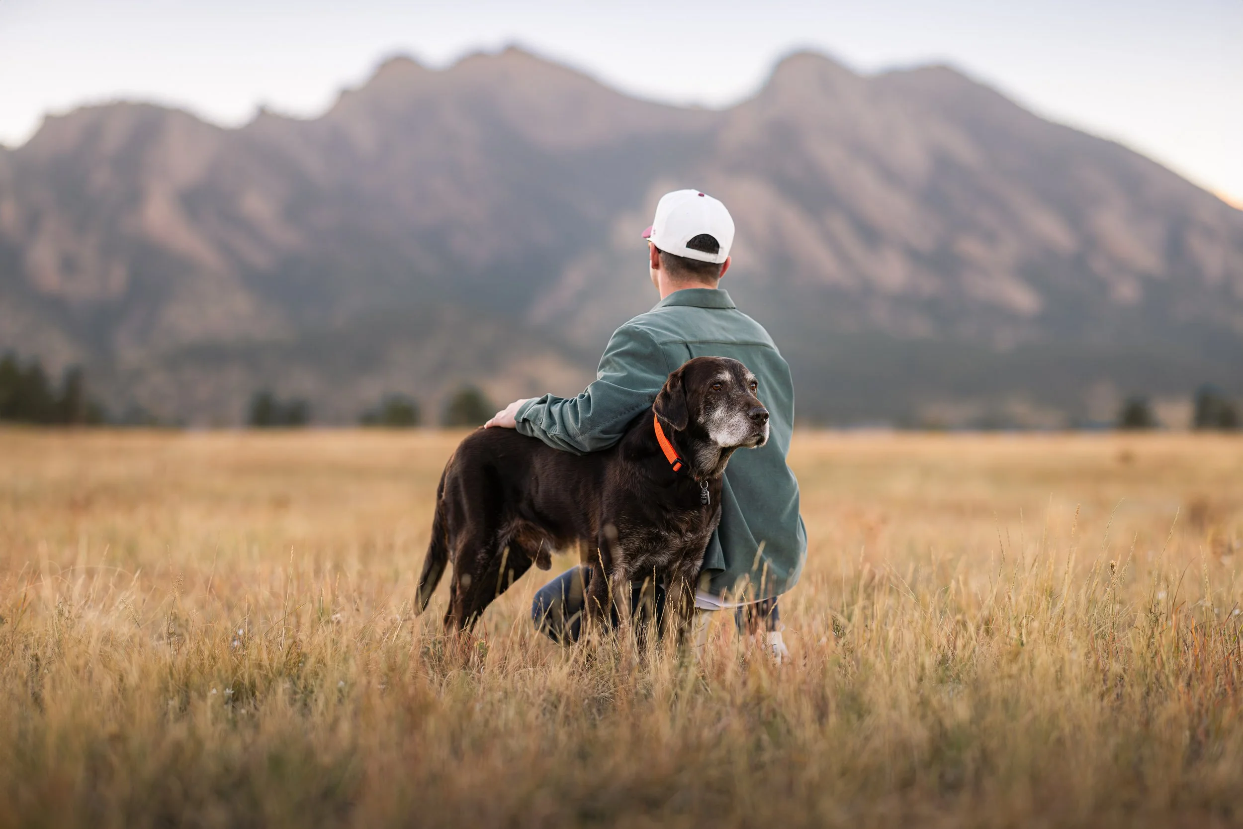 Chocolate Lab standing in front of the Boulder Flatirons for a scenic portrait session with a Denver dog photographer.