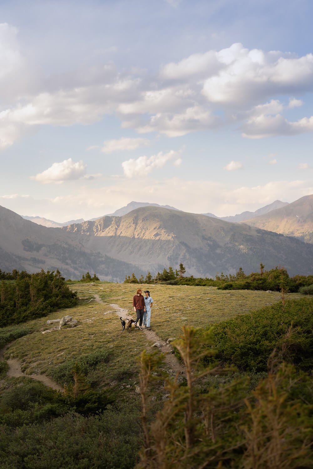 Black and white Border Collie standing in a grassy meadow on a ridge, looking at the camera with rolling green hills and Crested Butte Mountain in the background.