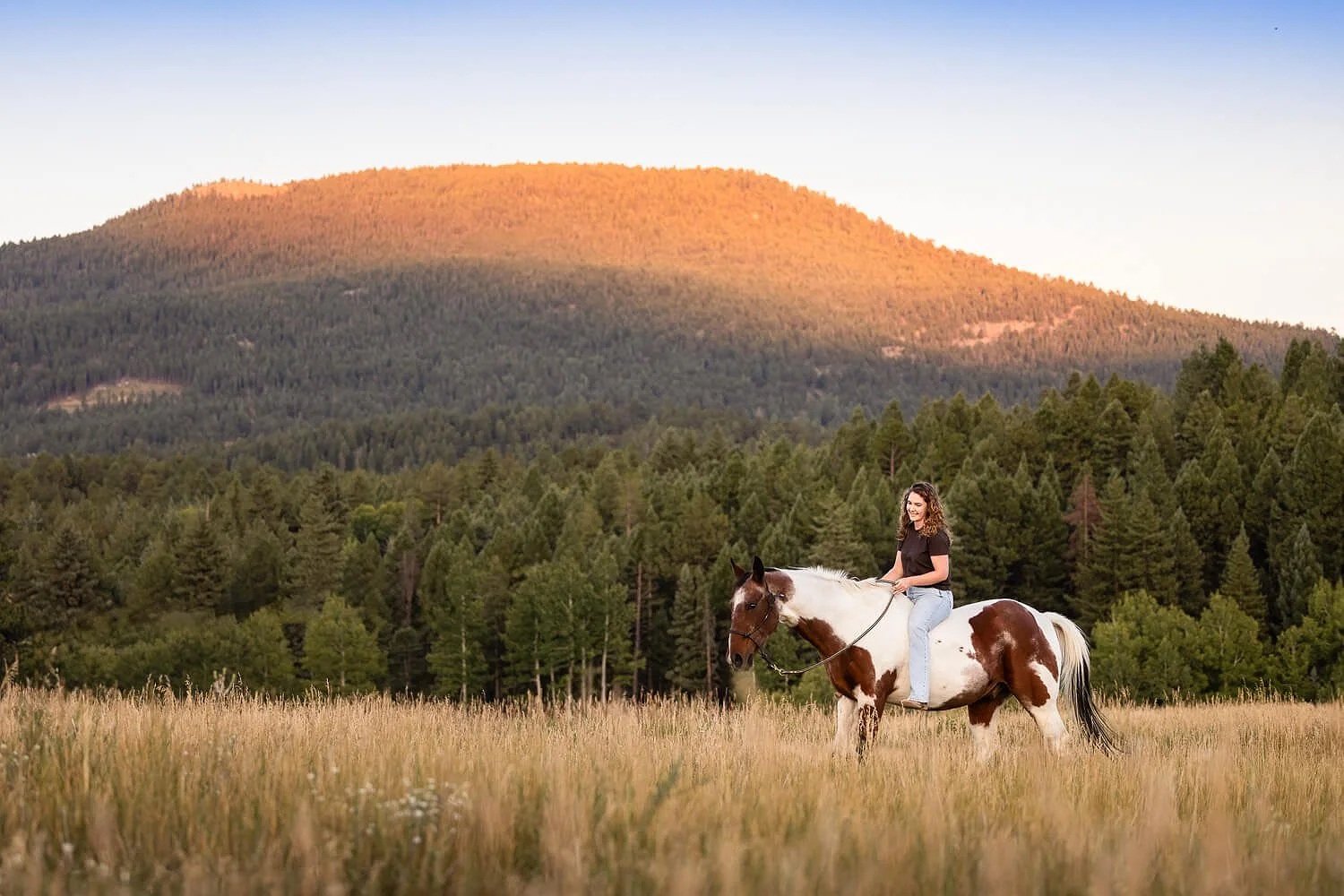 A woman riding a brown and white paint horse bareback through a tall grass field at golden hour, with a dense evergreen forest and sun-drenched mountains in the background of Colorado.