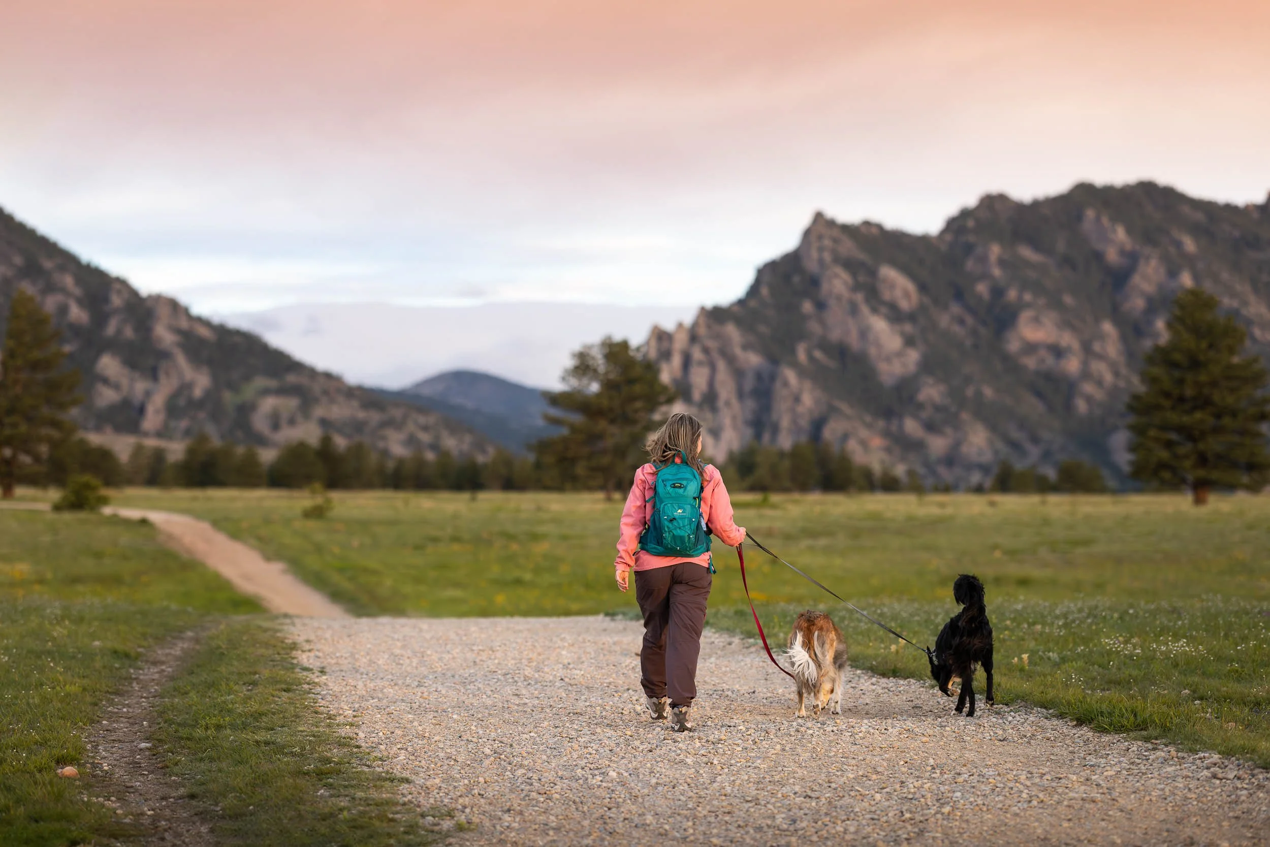 Two dogs hiking with their owner toward the Flatirons in Boulder, Colorado, during a dog photography adventure session by Allison Mae.