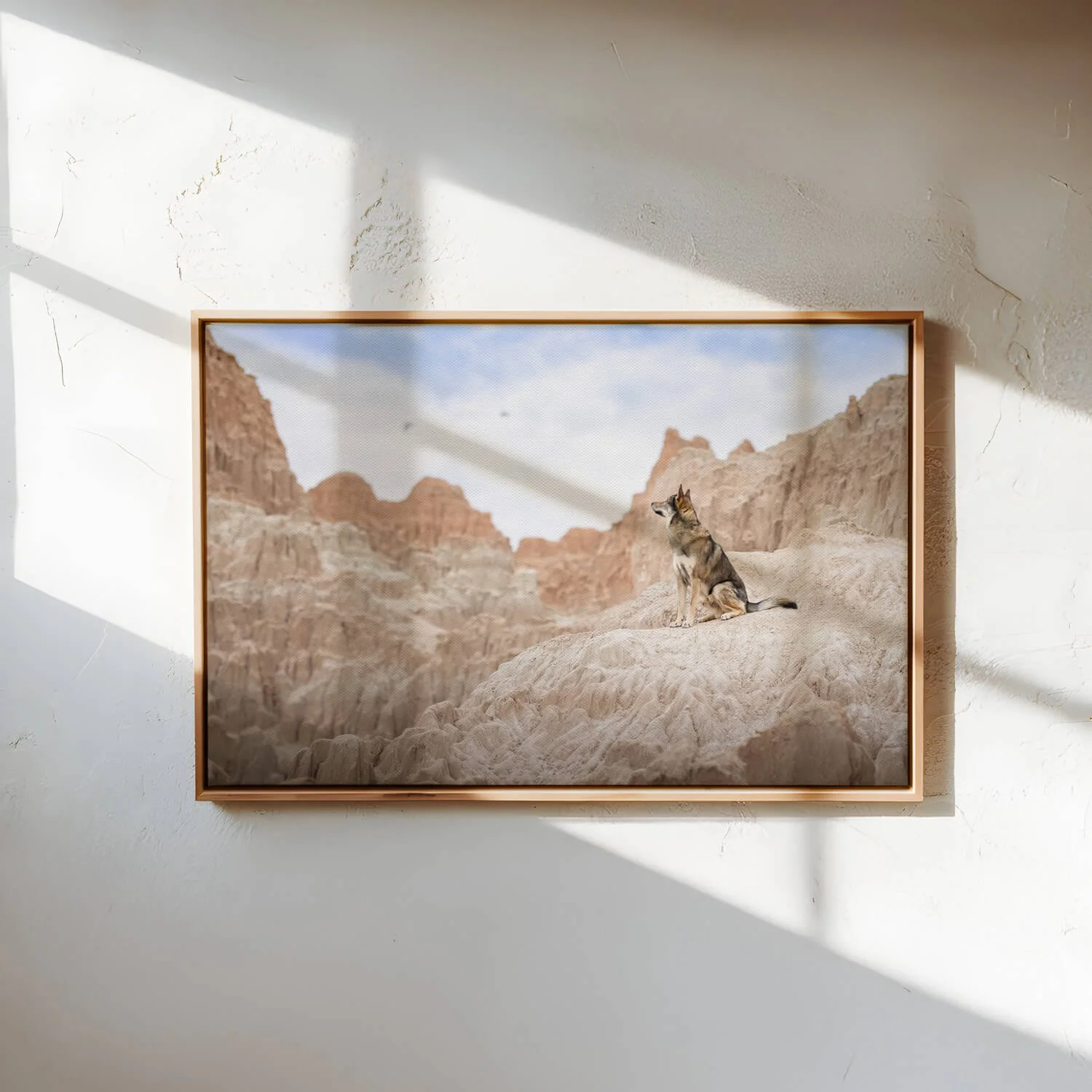 Framed photograph of a cat sitting on sandy terrain against a backdrop of rocky desert mountains.