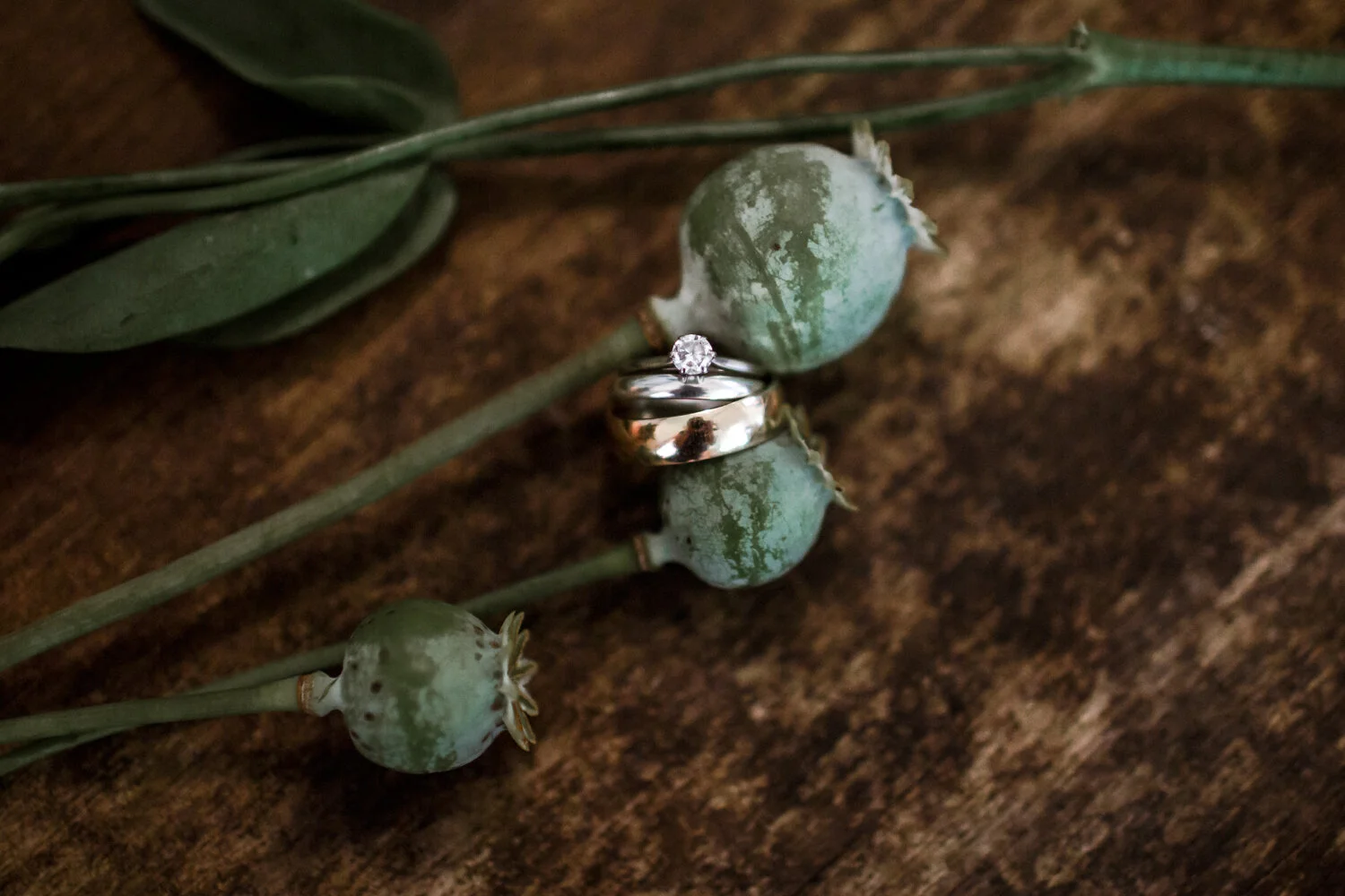gabriola-island-boho-wedding.jpg