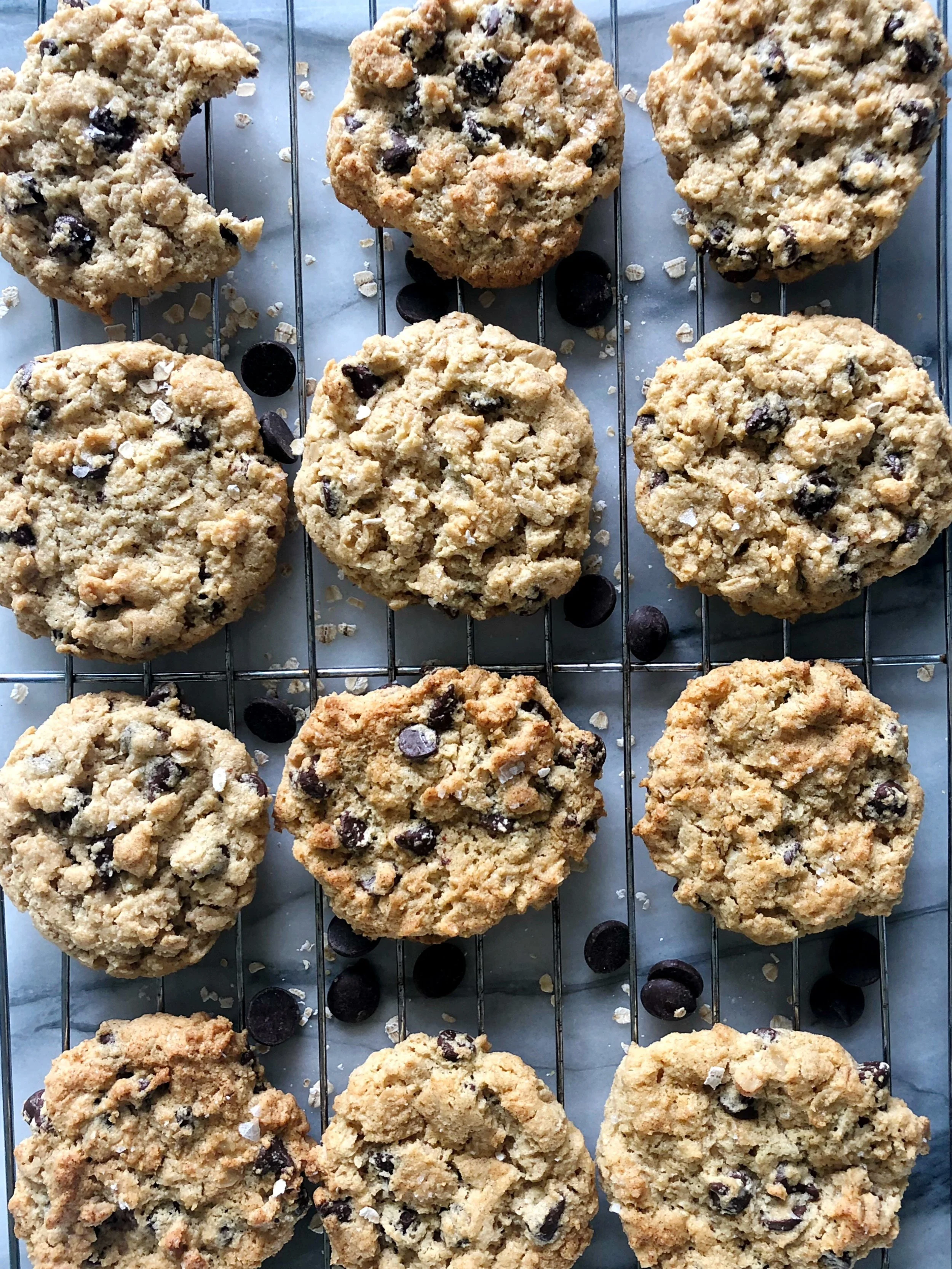 gluten+free+chocolate+chip+cookie.jpg