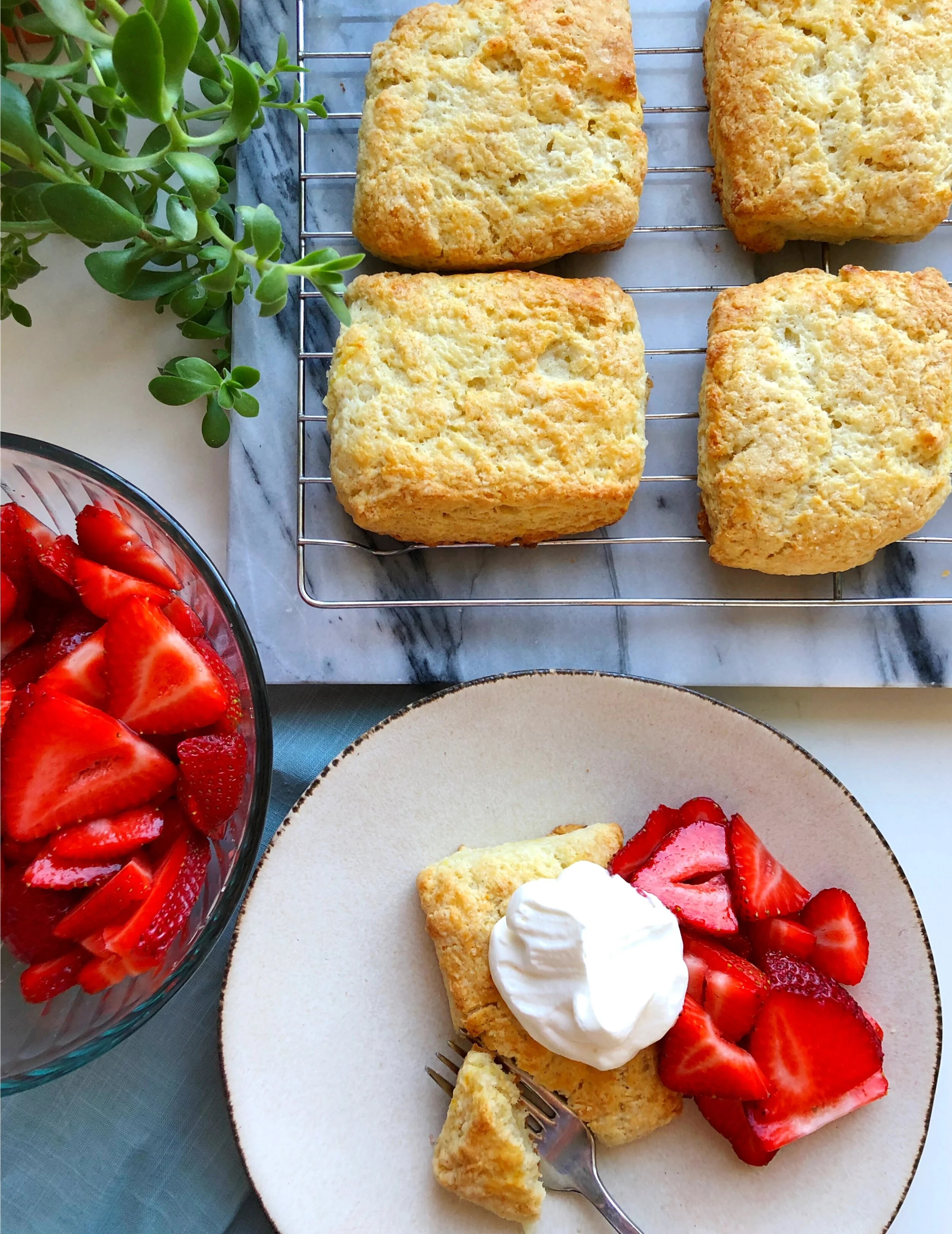  Orange and Vanilla Bean Shortcakes with Strawberries and Whipped Cream