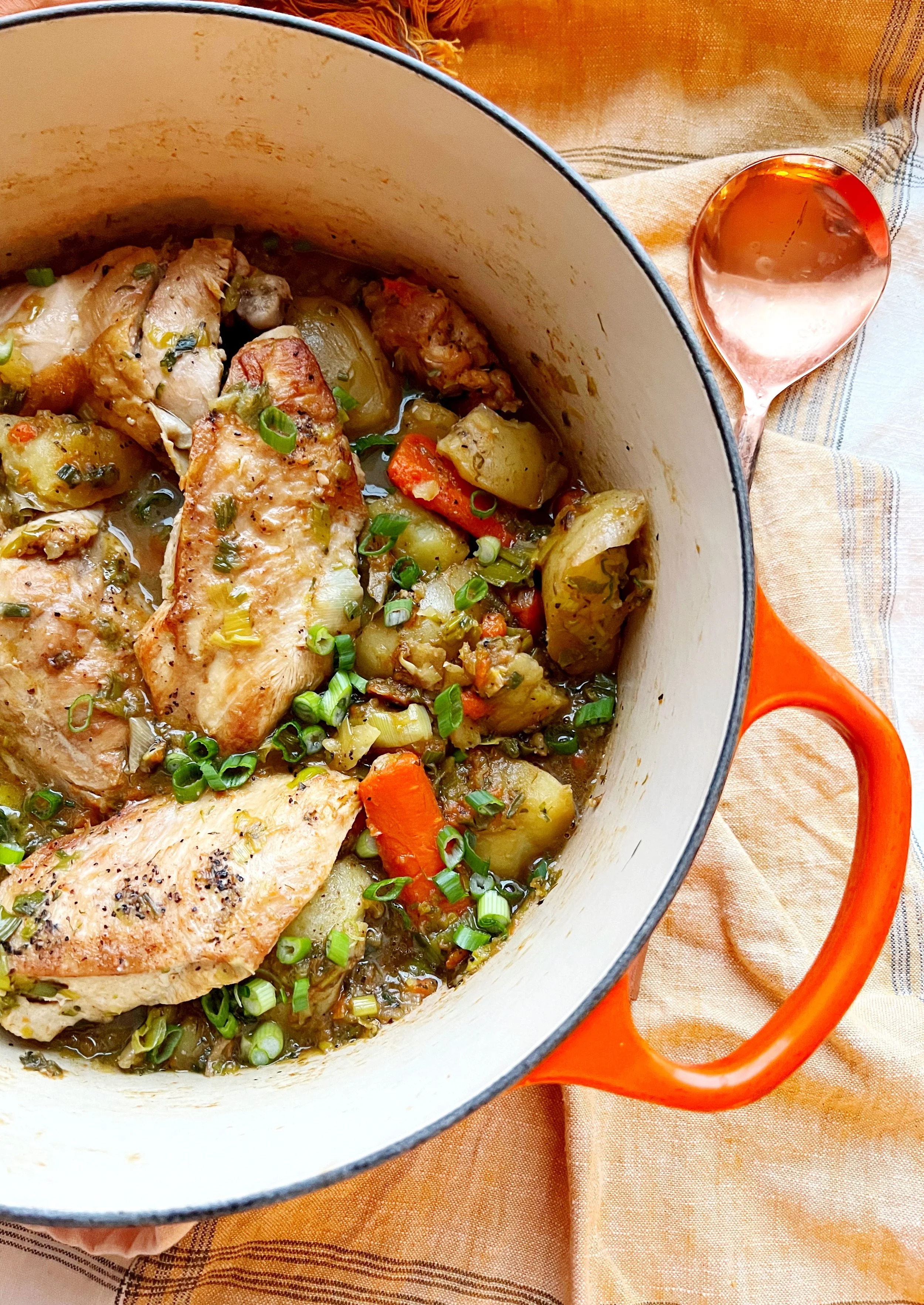 Braised Chicken and Leeks