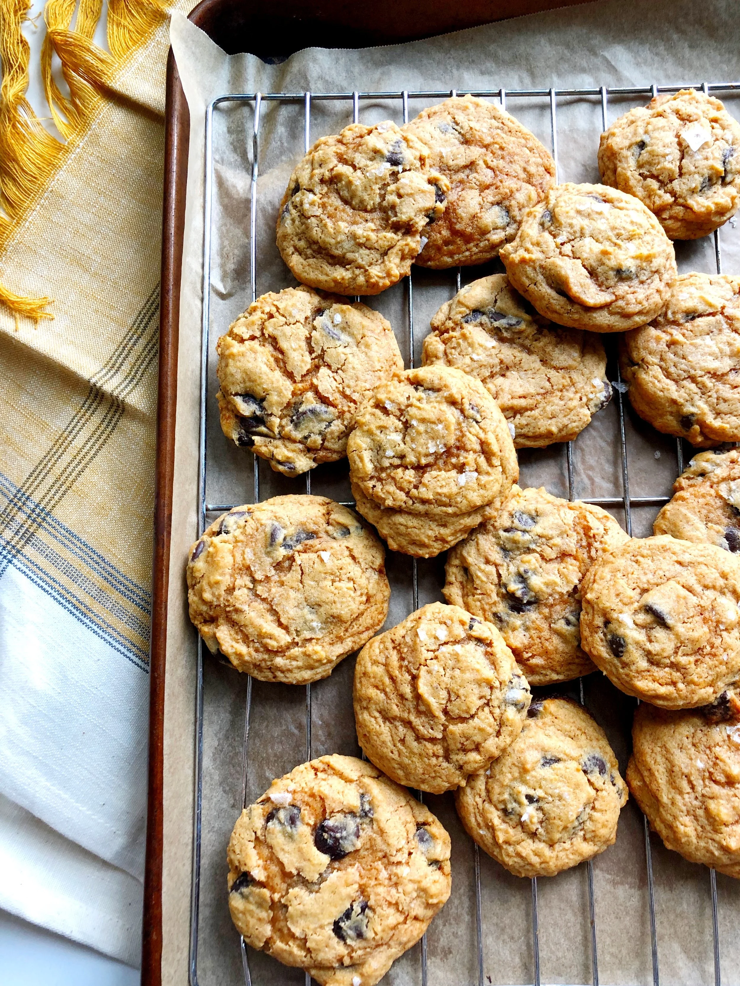 Pumpkin Chocolate Chip Cookies