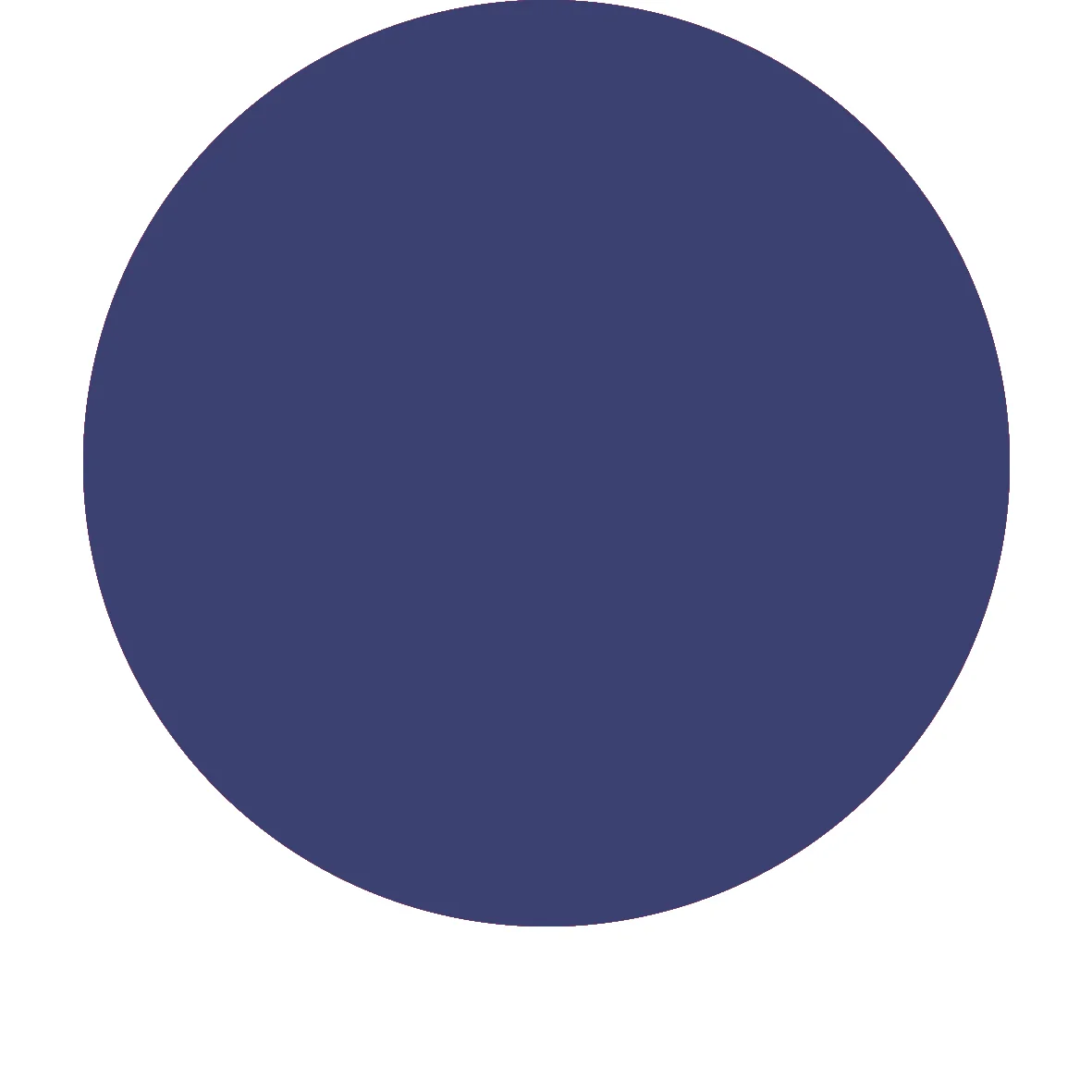 Navy N.jpg