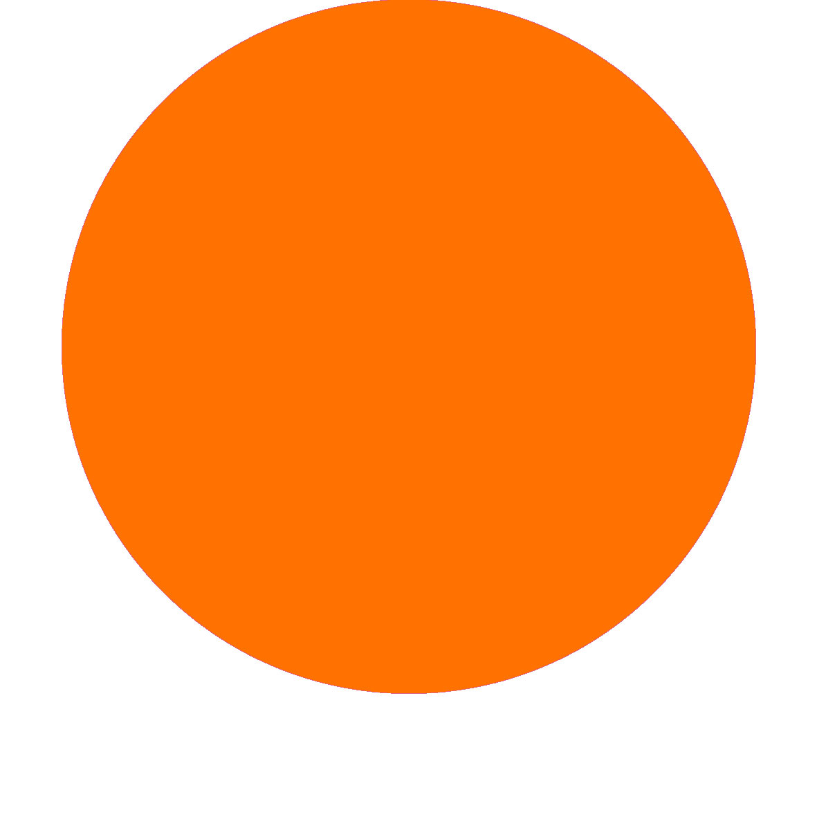 Fluorescent-Orange.jpg