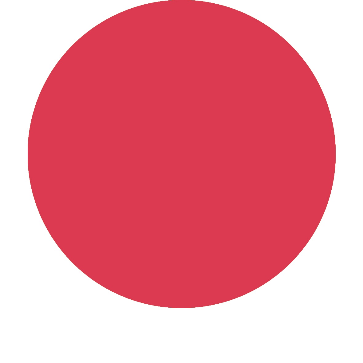 C.I. Red 101.jpg