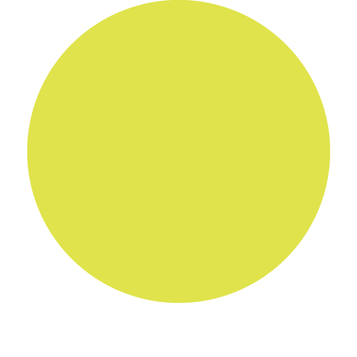 Yellow 3.jpg