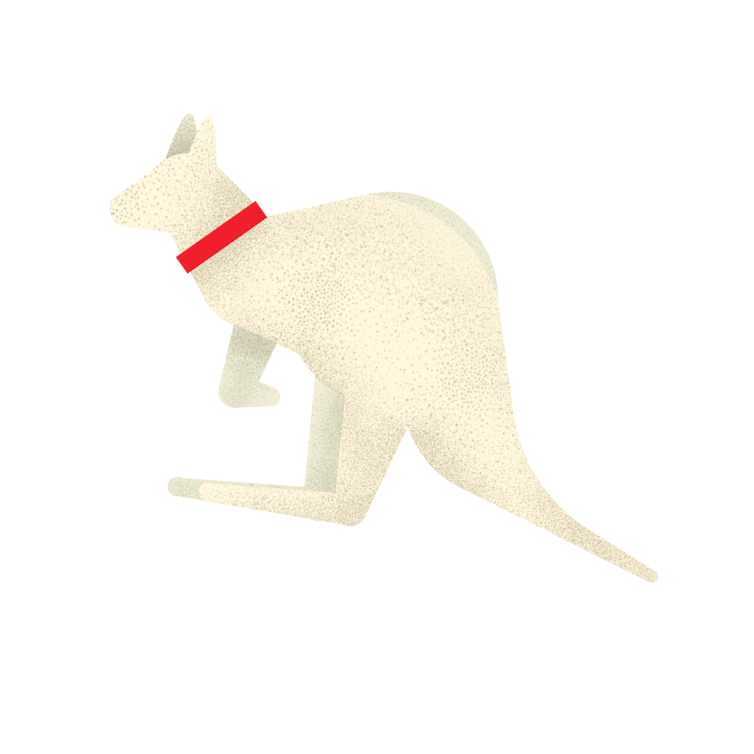 Small_Icons_0006_Kangaroo.png