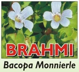 BRAHMI