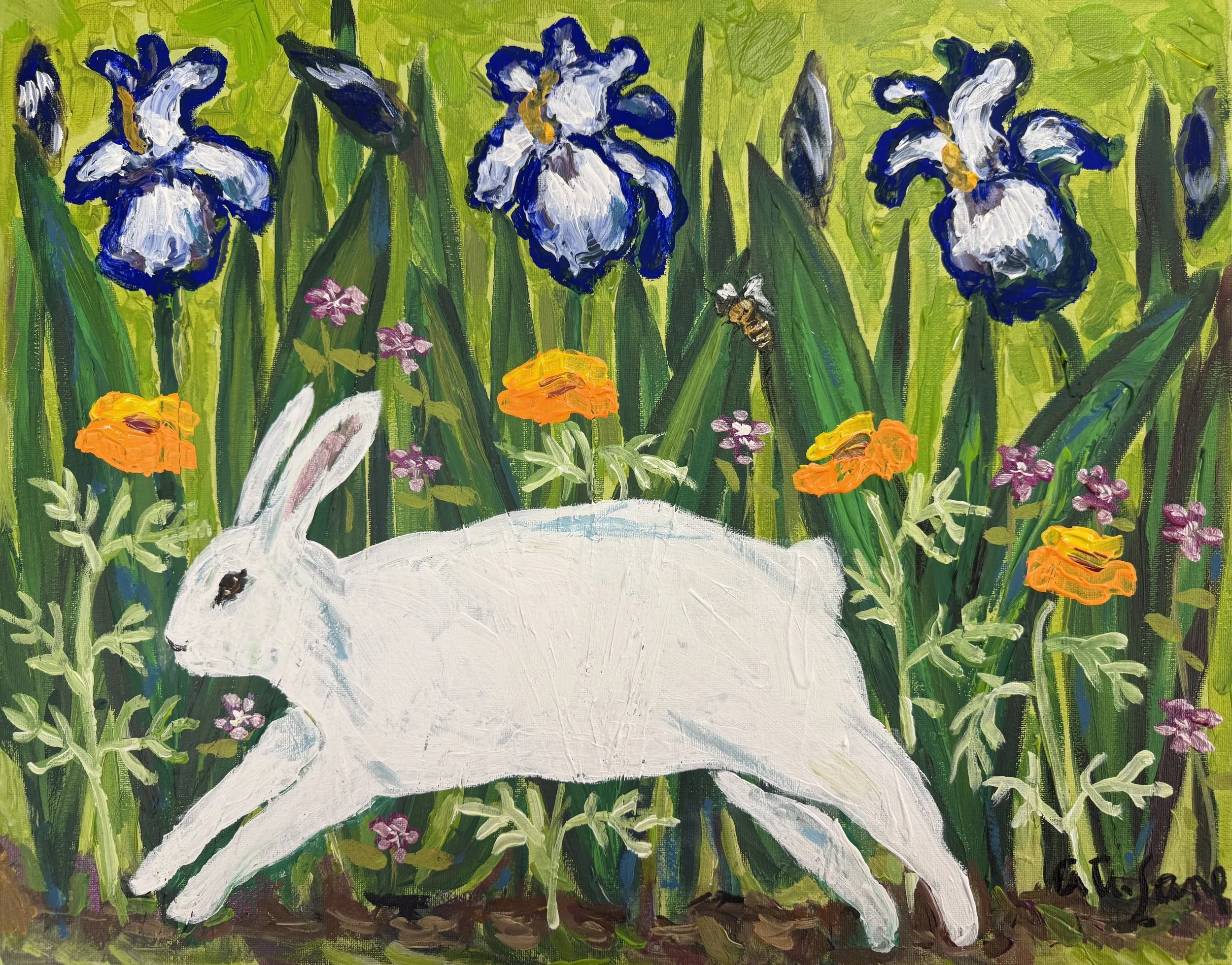 Iris the Bunny
