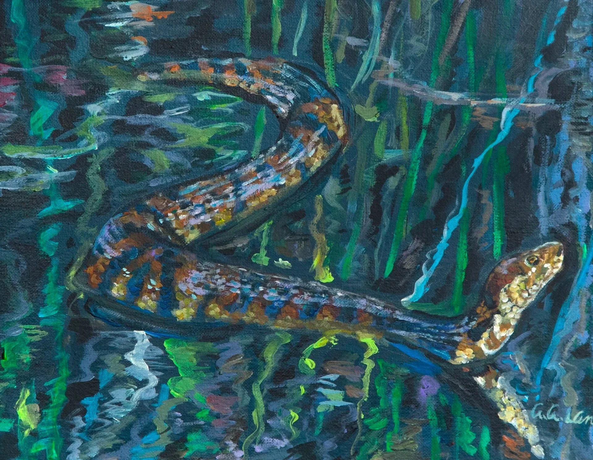 Swamp Snake