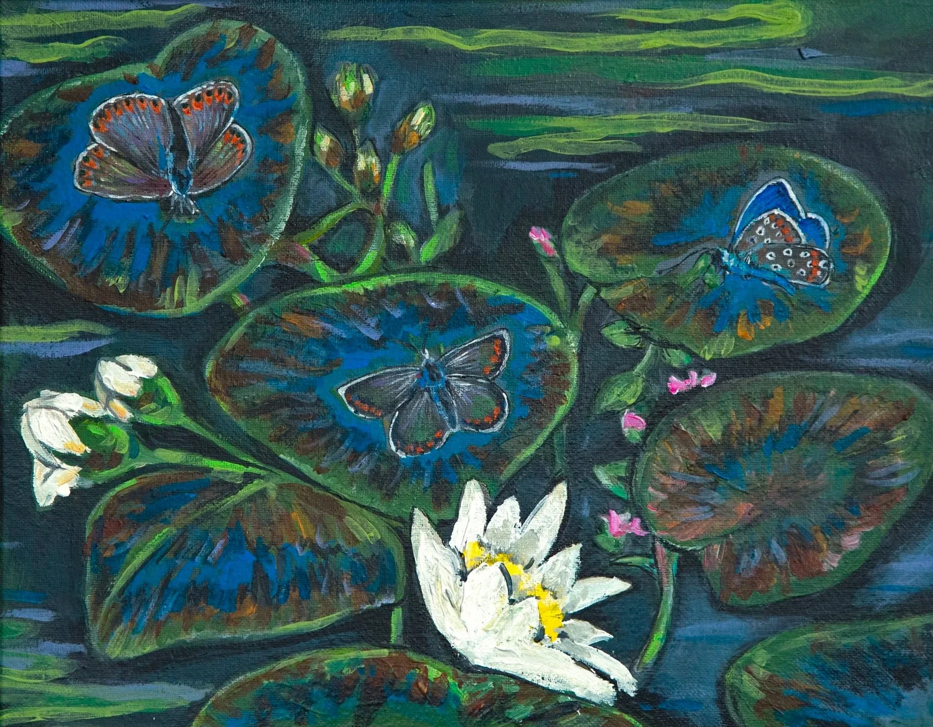 Pond Butterflies 