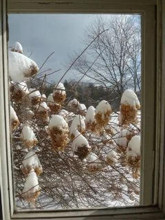 snow.jpg