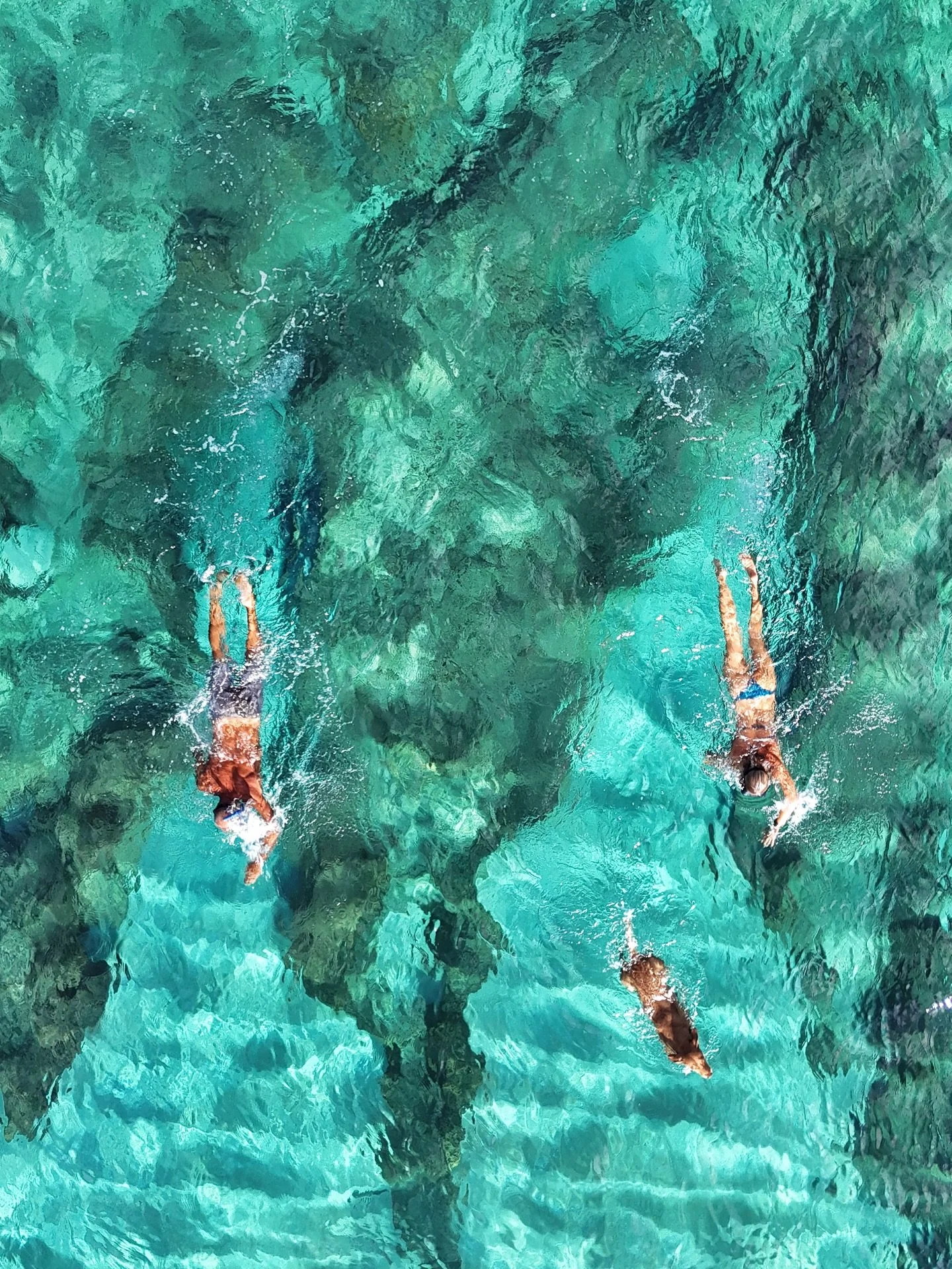 Taking the dog for a swim.

📷 Jeff Hornbaker @jeffthirdeye

#swimming #swimmers #swim #dogswimming #dronephoto #aerialphoto #pacificocean #sea #hawaii #tropicalwaters #warmwaters #thirdeyegear #thirdeyegoggles #swimgoggles #thirdeyeworld #thirdeyewo