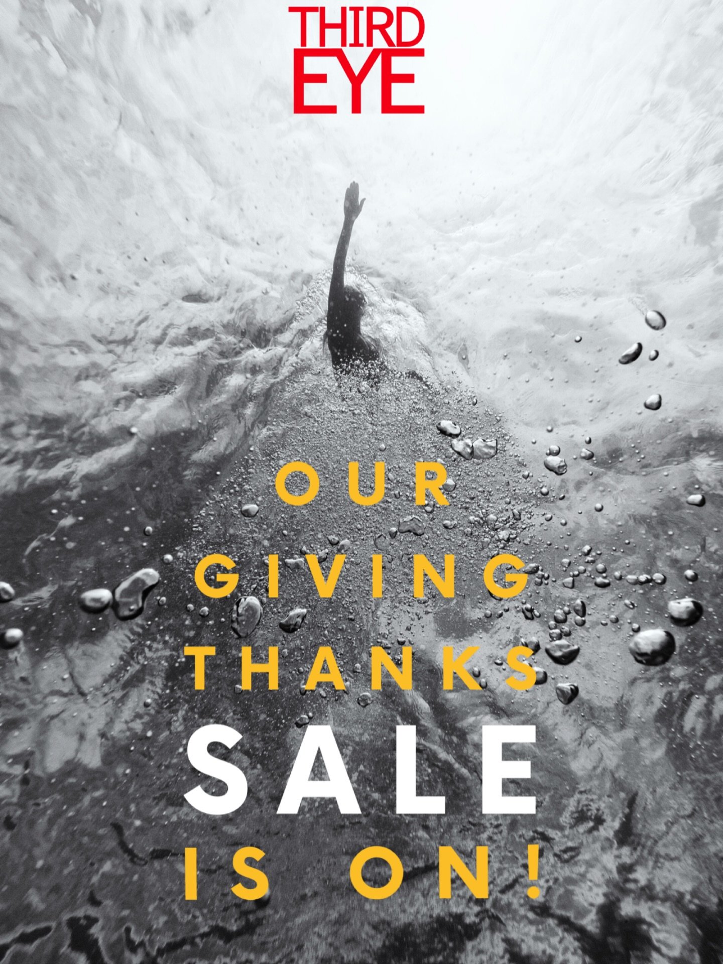 We at Third Eye give thanks for all the blessings in our lives, including you, our family joined by water.

This week we will be celebrating the abundance of living a life connected to nature through Monday November 30 with 25% off your favorite THIR