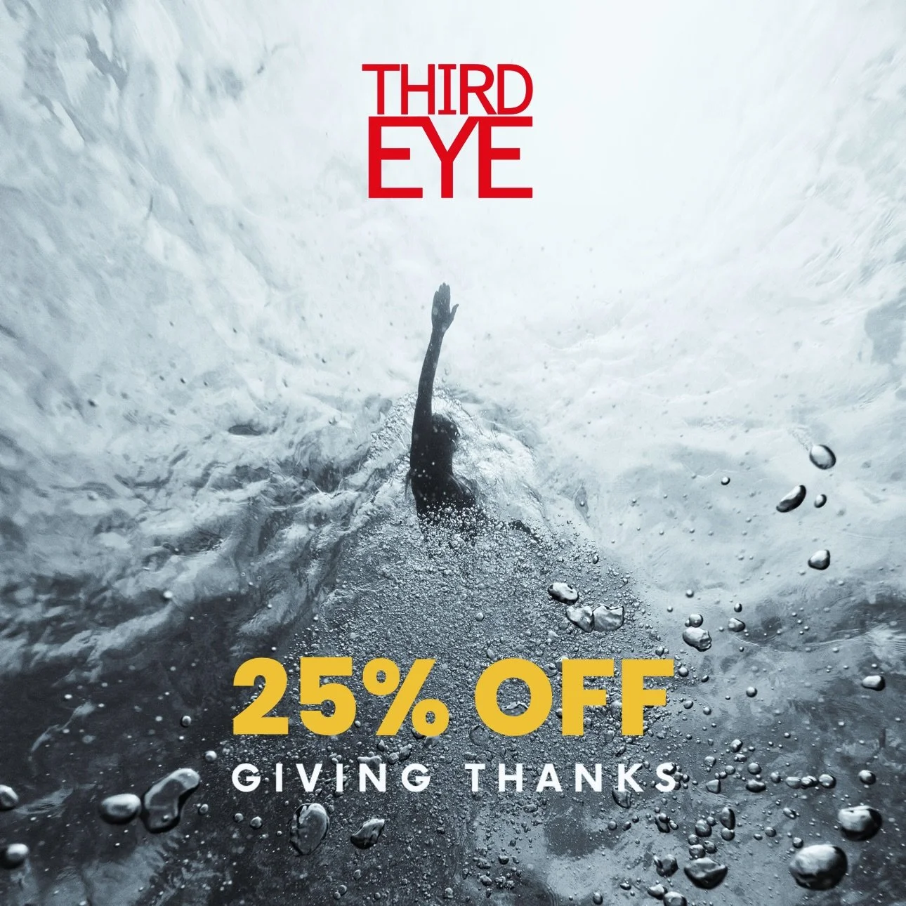 Last day, last chance to get 25% off your order with code GIVINGTHANKS25 at checkout. 

This offer is available online only at thirdeyeworld.com or go to link in profile.

#swimgoggles #aquaticsports #freediving