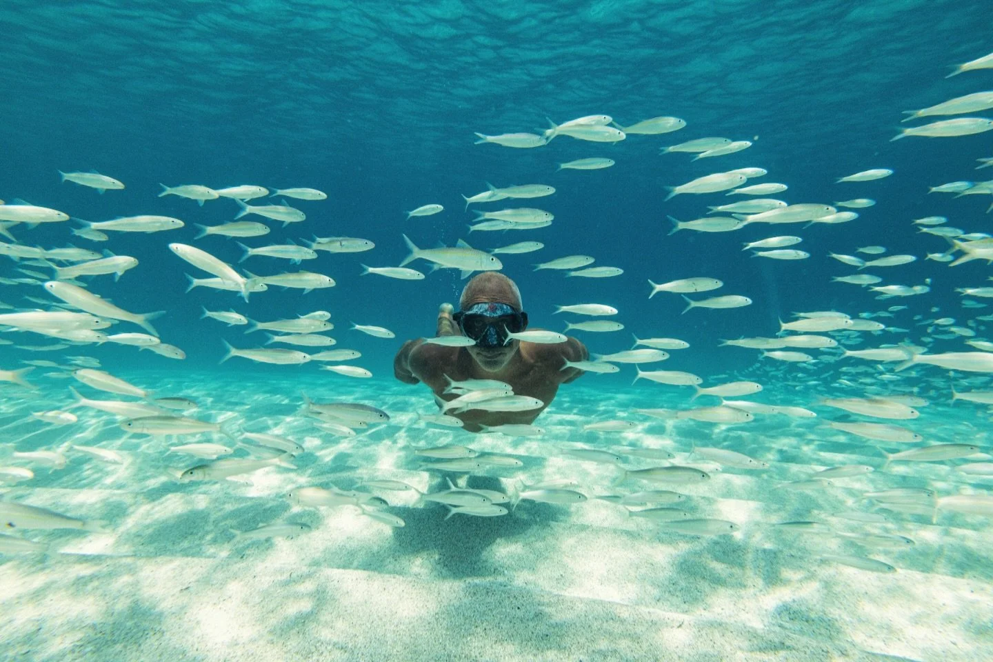 Blending with the elements!

📷 Jeff Hornbaker @jeffthirdeye
🏊 Dave Homcy @davehomcy 
🤿 The Makai 

#freediving #underwaterlife ##aquaticsports #freediver
