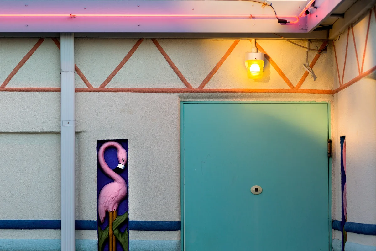 flamingo_about.jpg