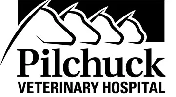 Pilchucklogo copy.jpg