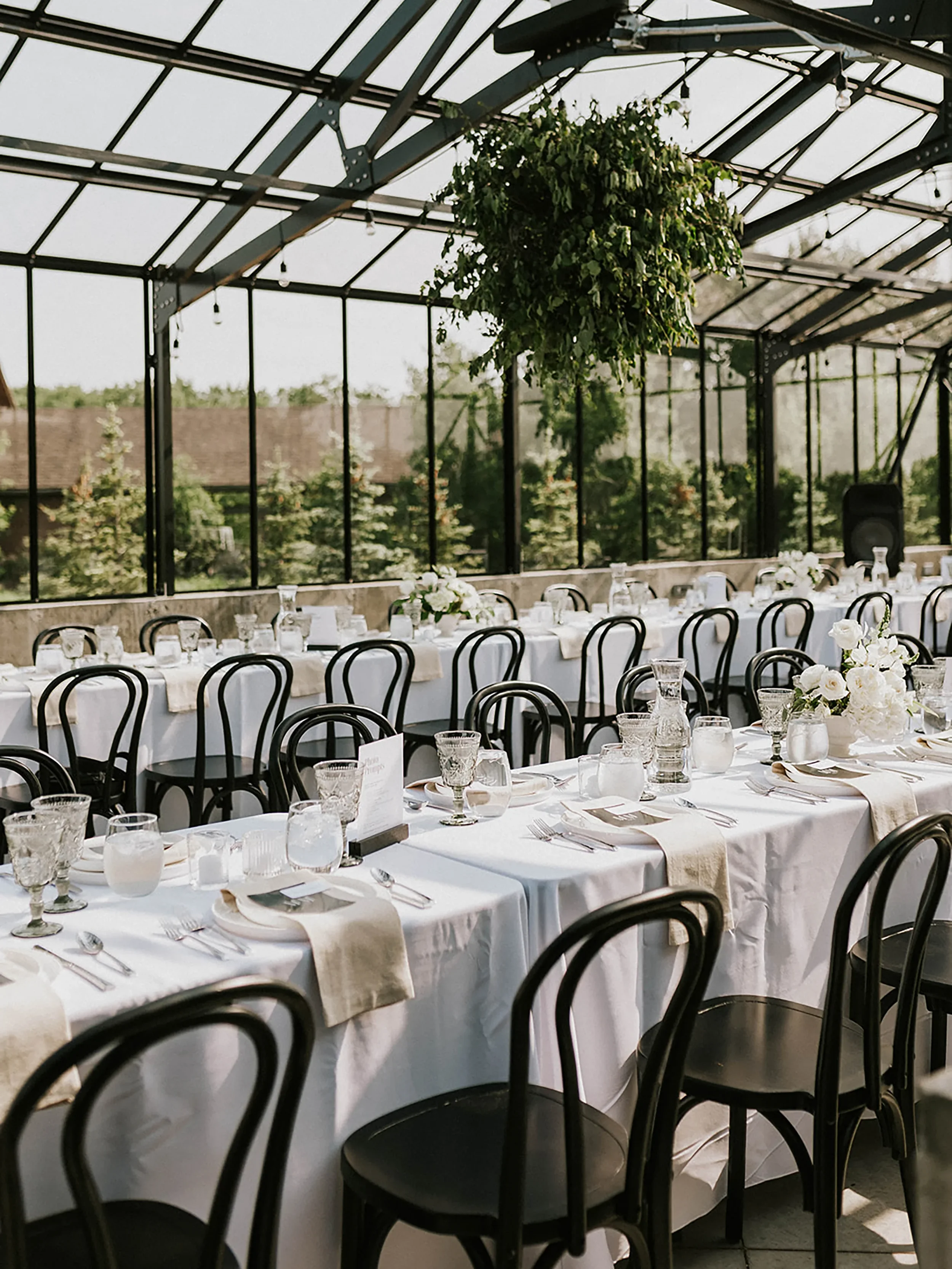 Black Bentwood Chair Picture 2.webp