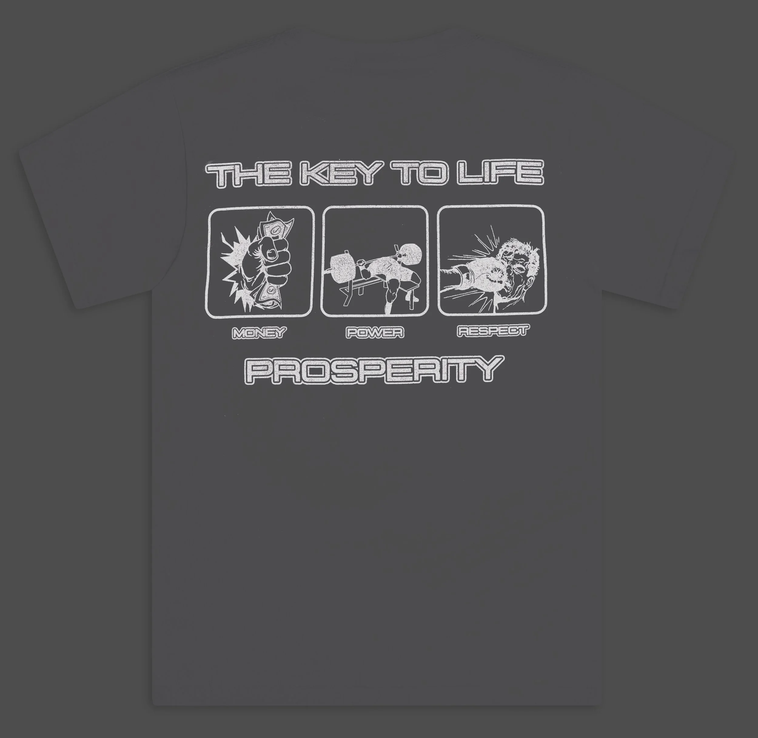 Prosperity MPR Tee White 4.jpg